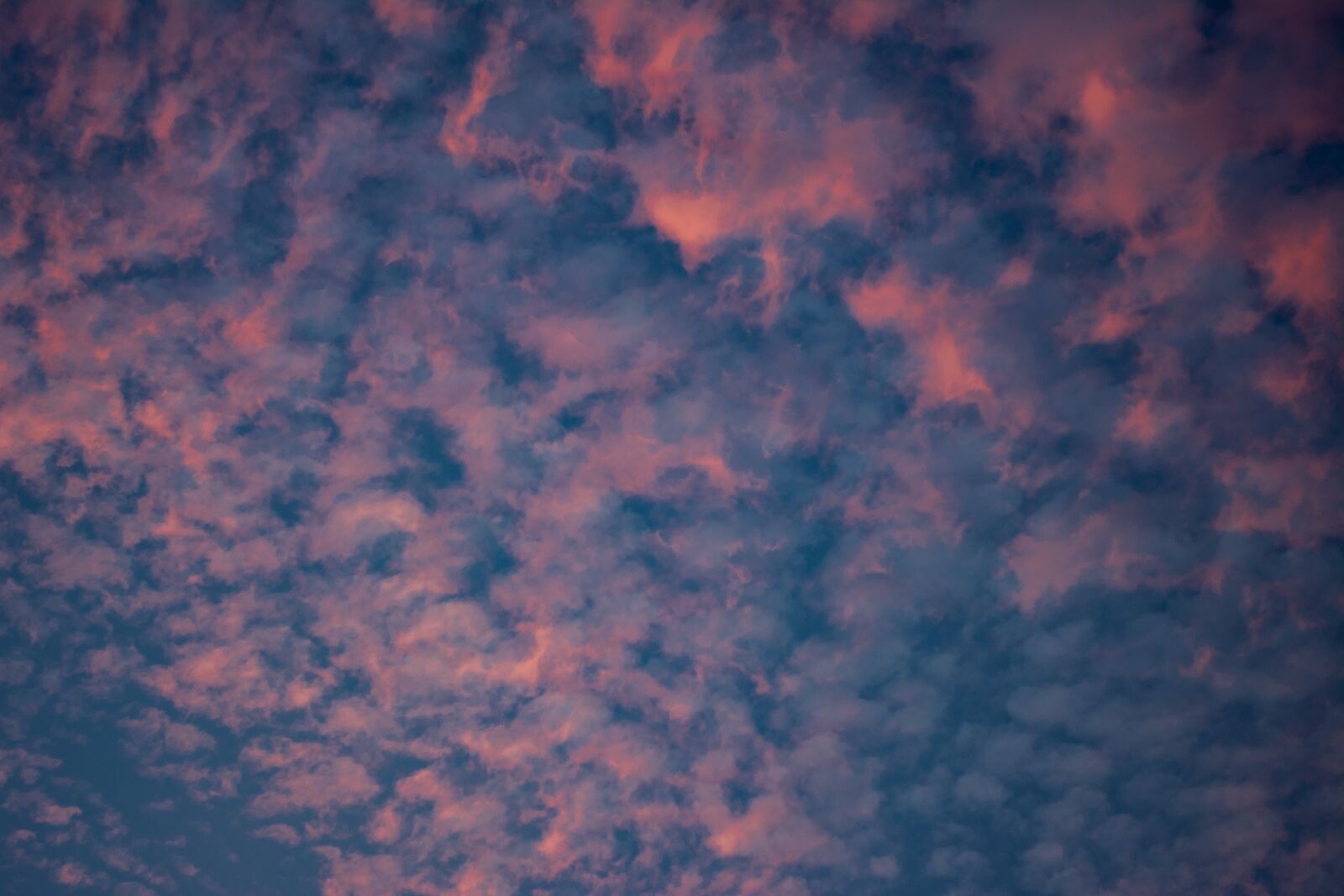 Nikon D5200 sample photo. Sky, clouds, pink photography