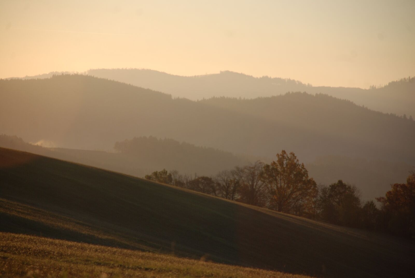 Nikon D80 sample photo. Nature, morning, light photography