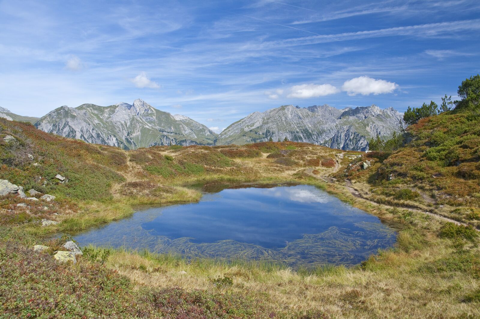 Nikon D5000 sample photo. Bergsee, bog lake, sun photography