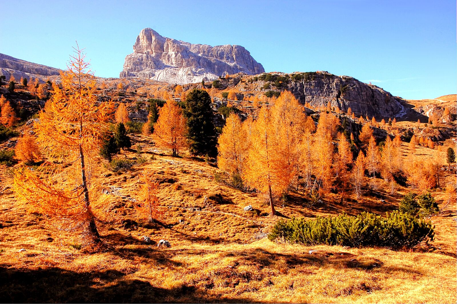 Nikon D40 sample photo. Falzarego, dolomites, italy photography