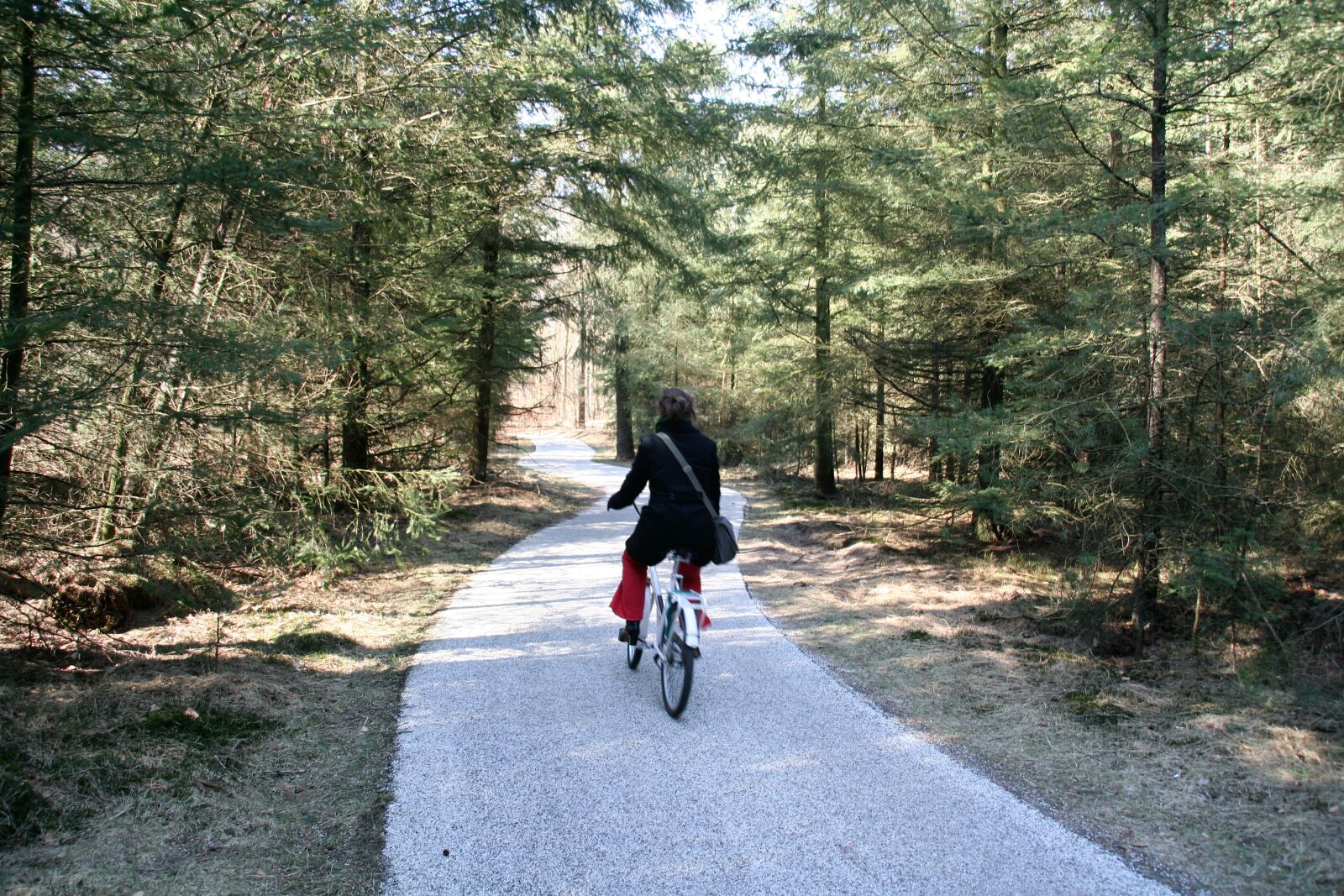 Canon EOS 350D (EOS Digital Rebel XT / EOS Kiss Digital N) sample photo. Cycling, forest, bicycle tour photography