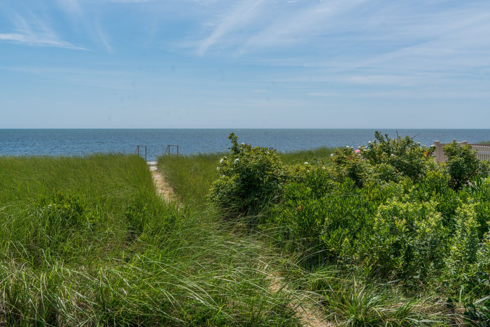 Sony a7R II + Sony FE 24-240mm F3.5-6.3 OSS sample photo. Cape cod, yarmouth, massachusetts photography