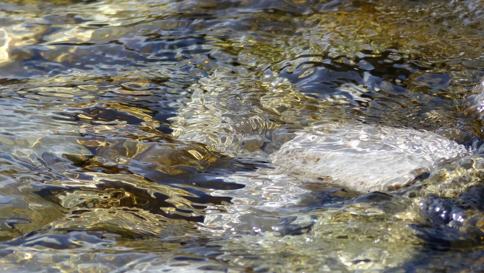 Panasonic Lumix DMC-FZ200 sample photo. Water, vacations, sea photography