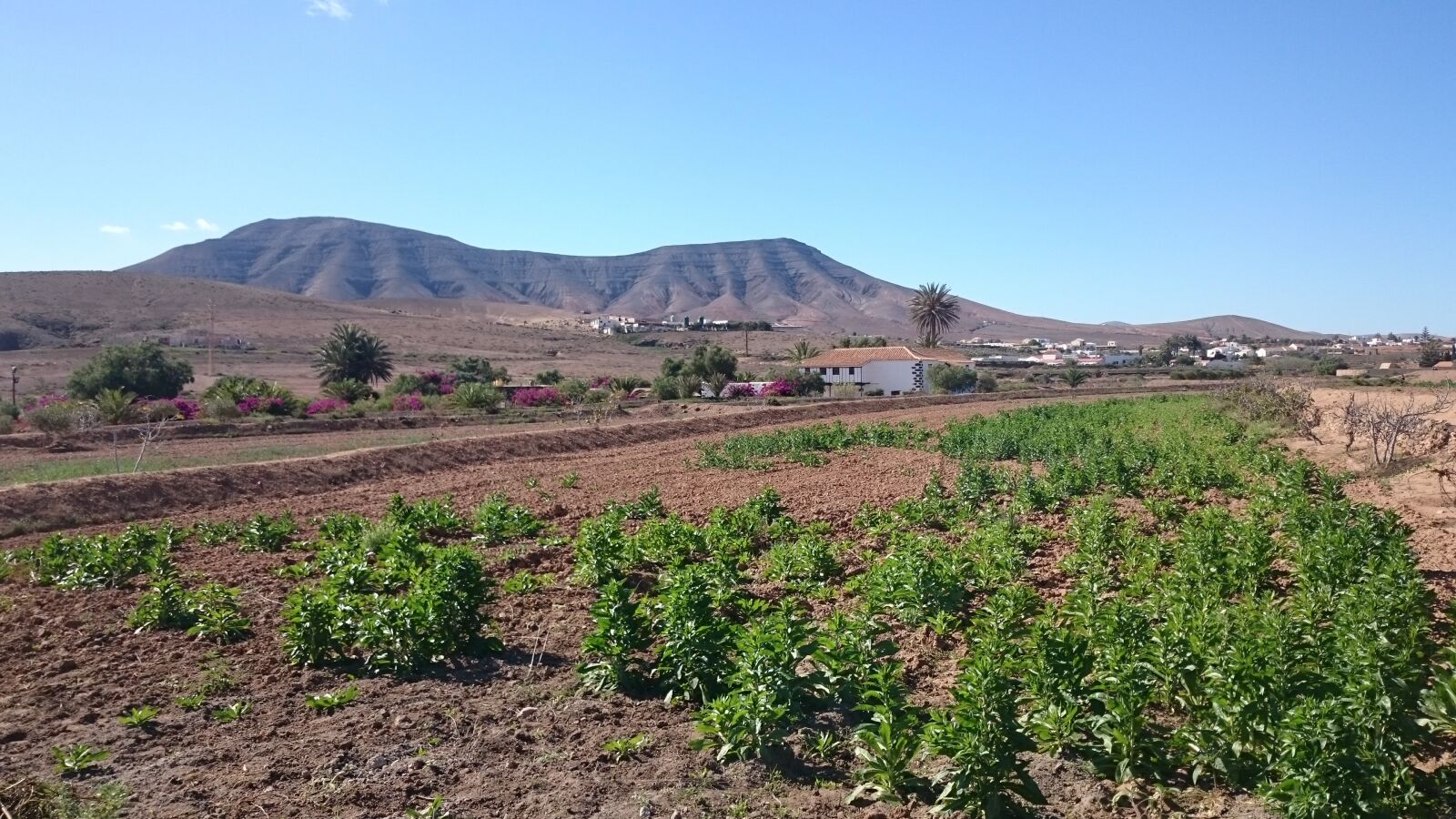 Sony Xperia Z2 sample photo. Fuerteventura, landscape, rural photography