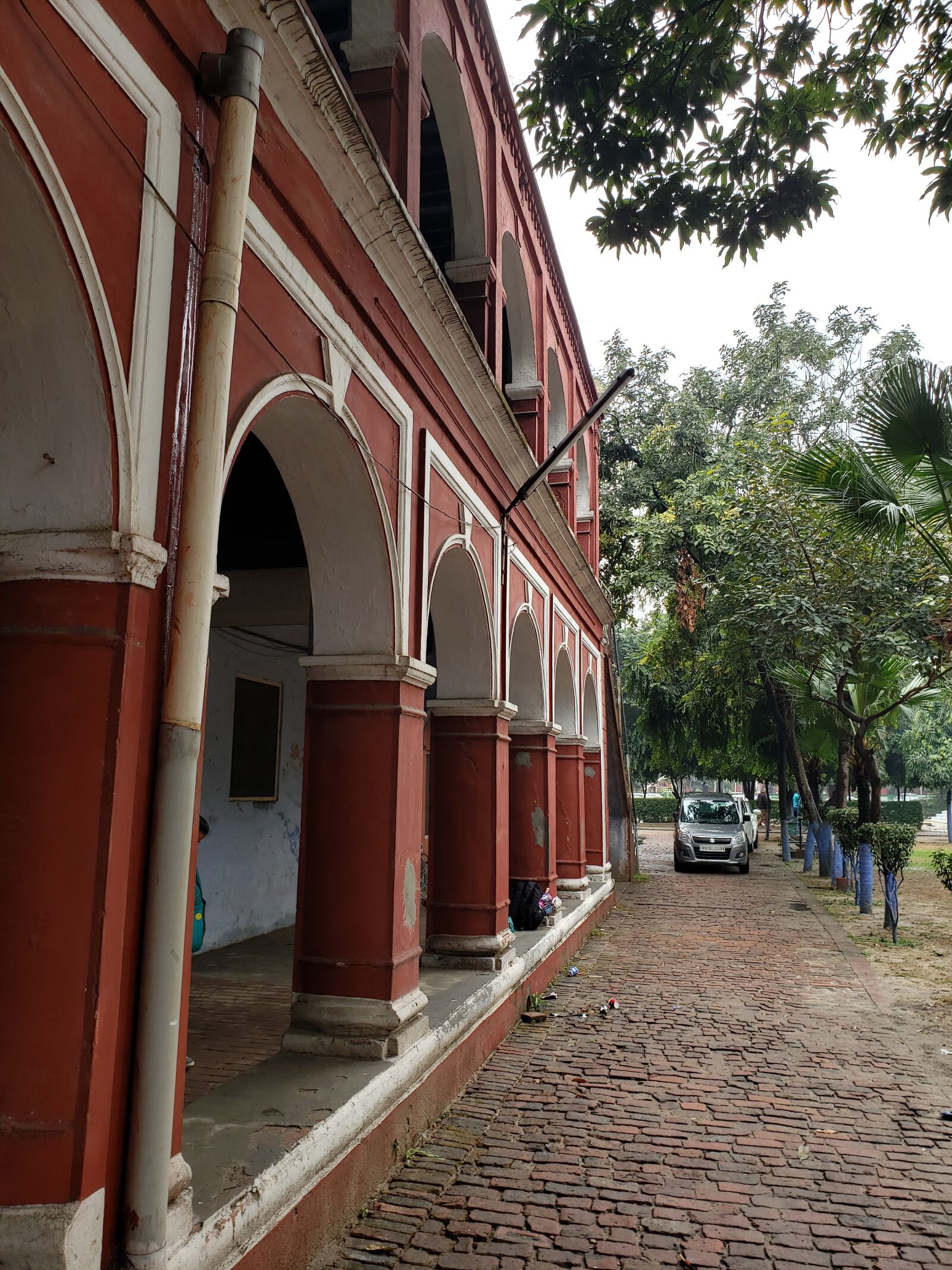 Samsung Galaxy Note9 sample photo. Cmc, india, tree photography