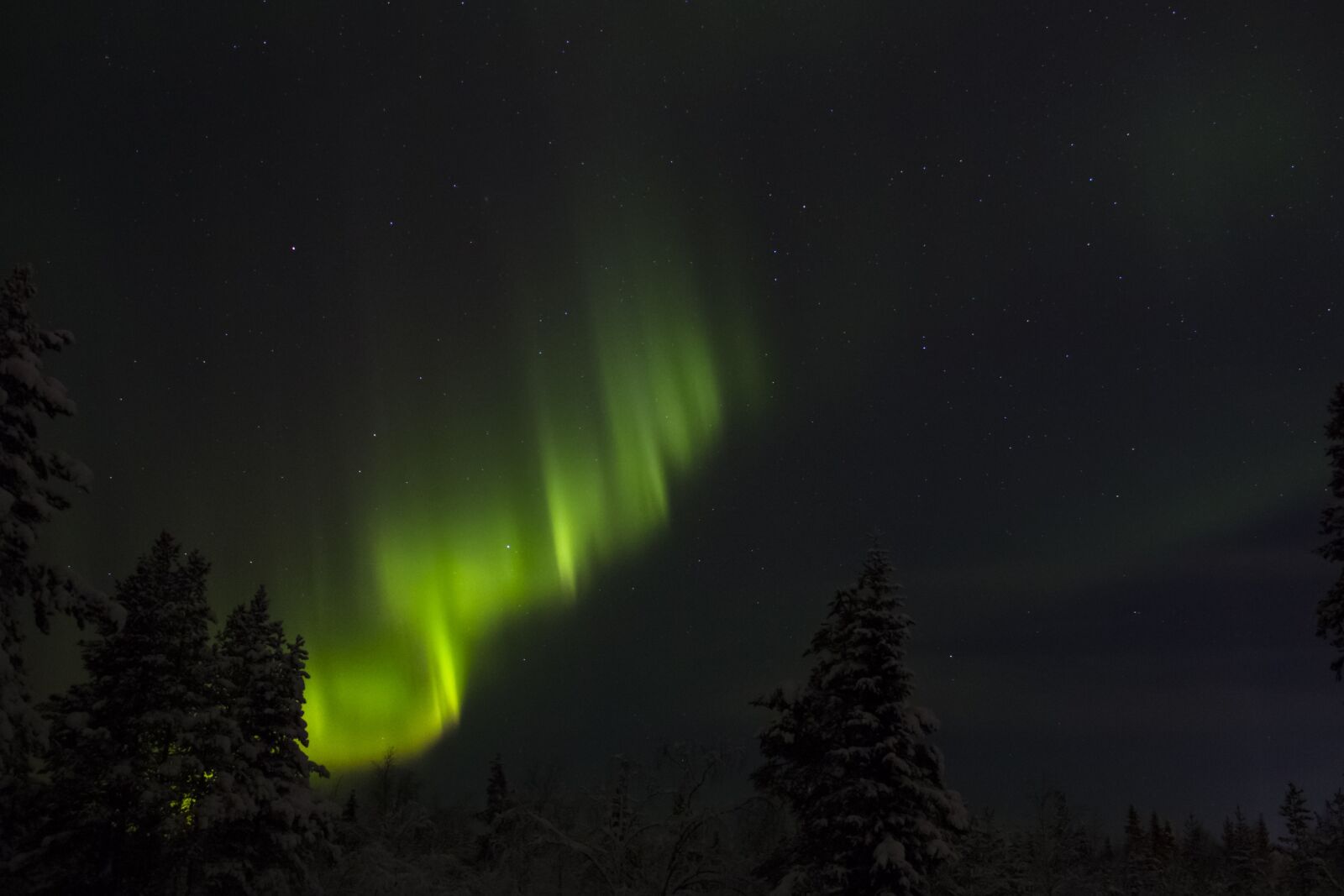 Canon EOS 7D sample photo. Northern lights, finland, lapland photography