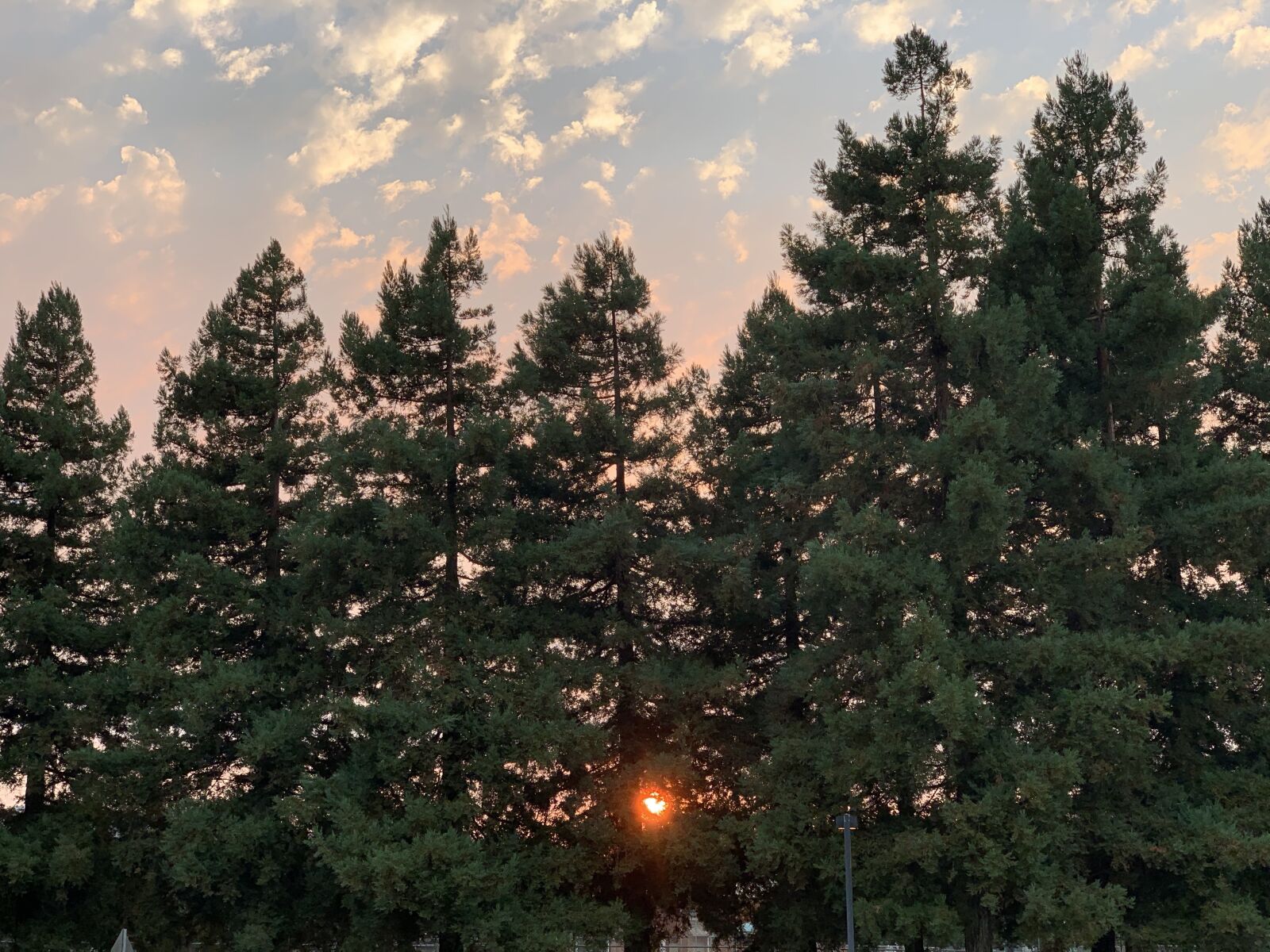 Apple iPhone XS + iPhone XS back dual camera 6mm f/2.4 sample photo. Sunset, trees, clouds photography