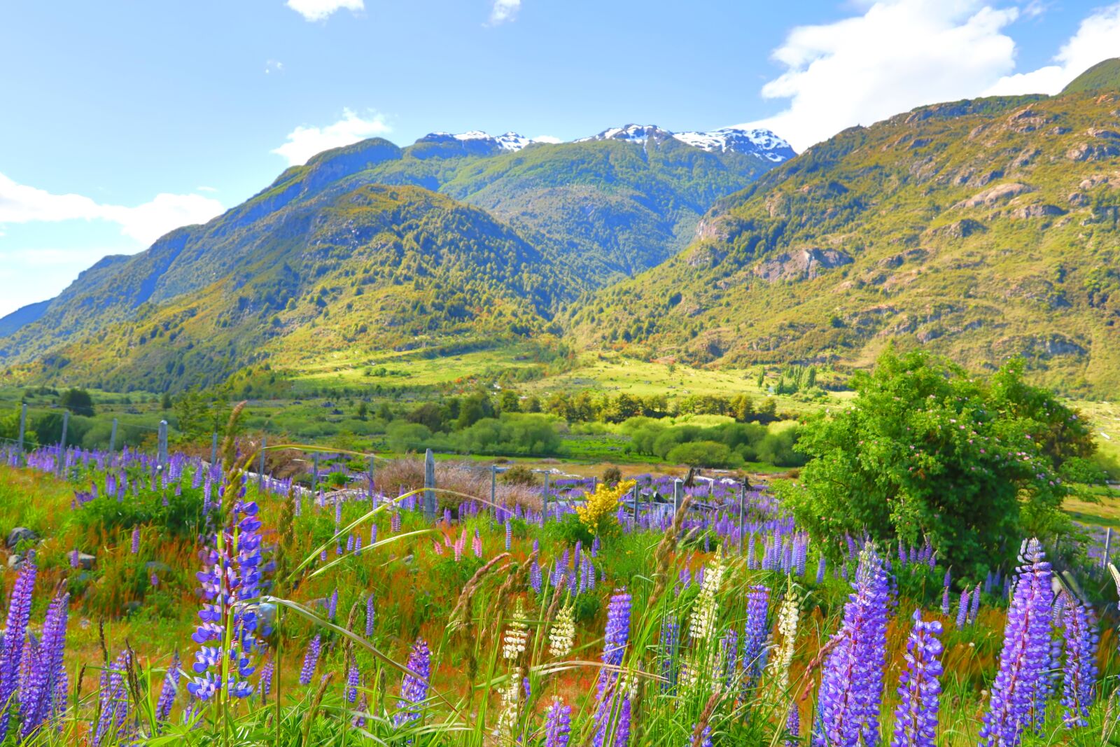 Canon PowerShot G1 X Mark III sample photo. Colors of spring, patagonia photography