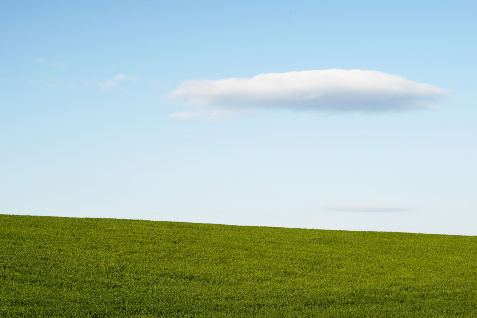 Nikon D5600 sample photo. Landscape, nature, grass photography
