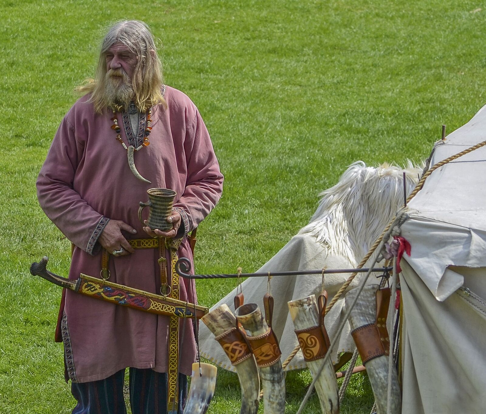 Nikon D5100 sample photo. Viking, medieval, show photography