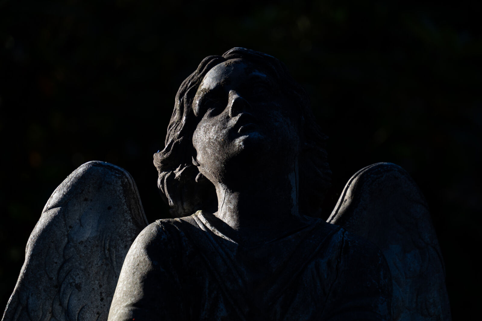 Sony a7R IV + Tamron 18-300mm F3.5-6.3 Di III-A VC VXD sample photo. Angel of darkness photography