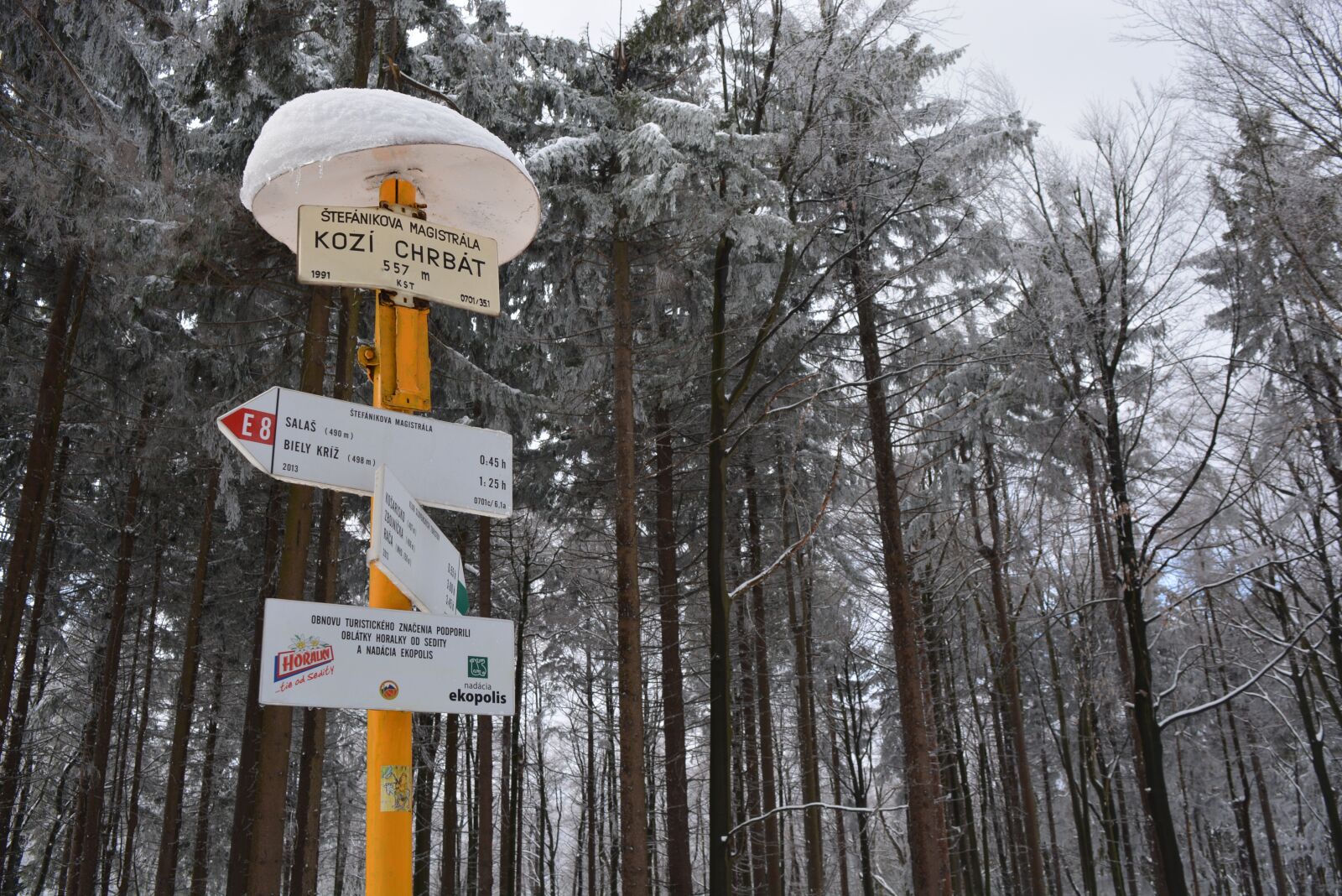 Nikon D5200 sample photo. Winter, ozna n k photography