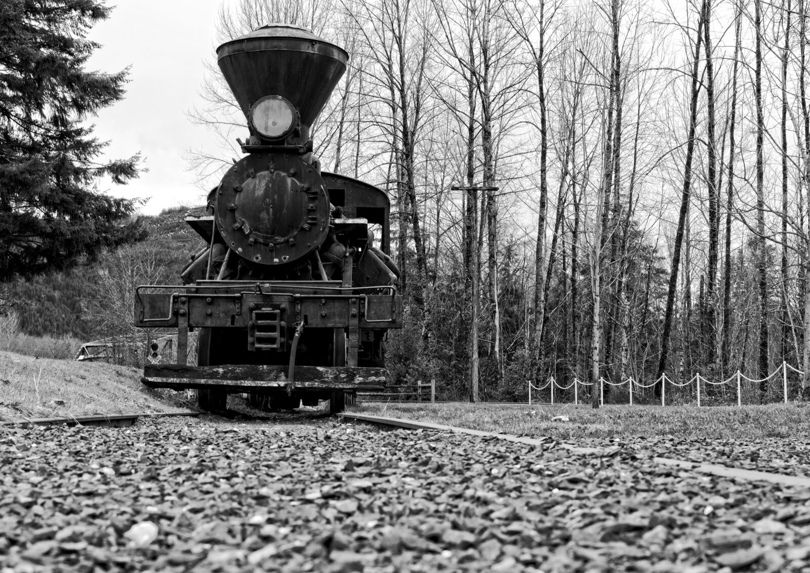 Nikon D3100 sample photo. Train, tracks, perspective photography