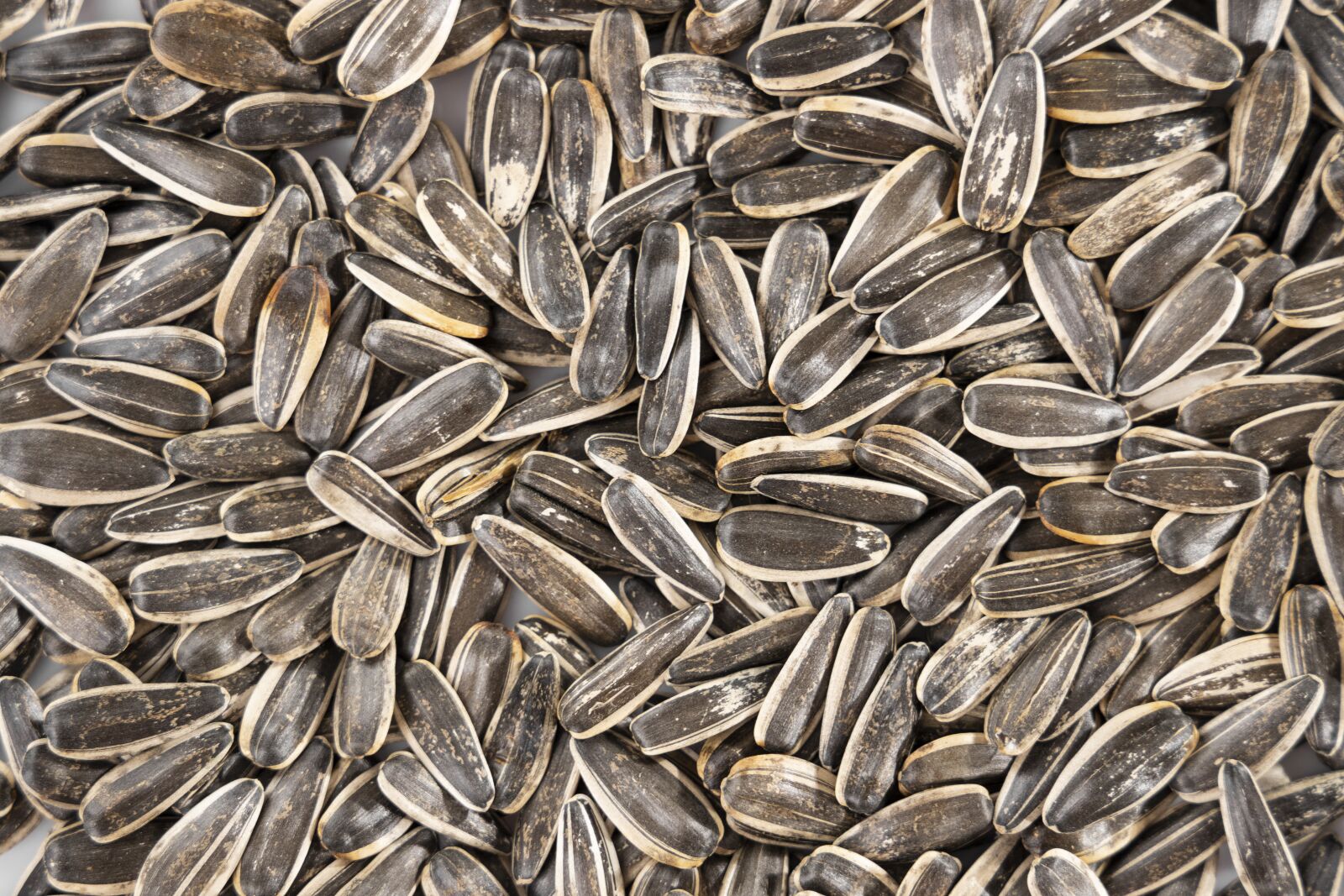 Canon EOS R sample photo. Sunflower seeds, dried fruits photography