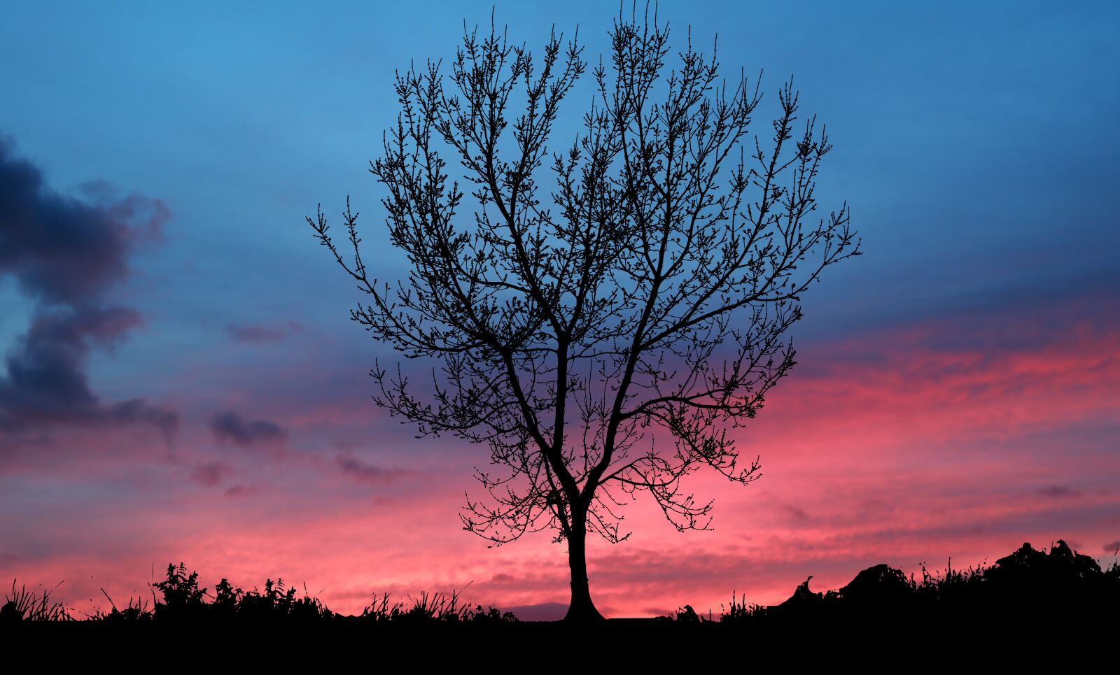 Canon PowerShot G1 X Mark III sample photo. Sunset, nature, winter photography