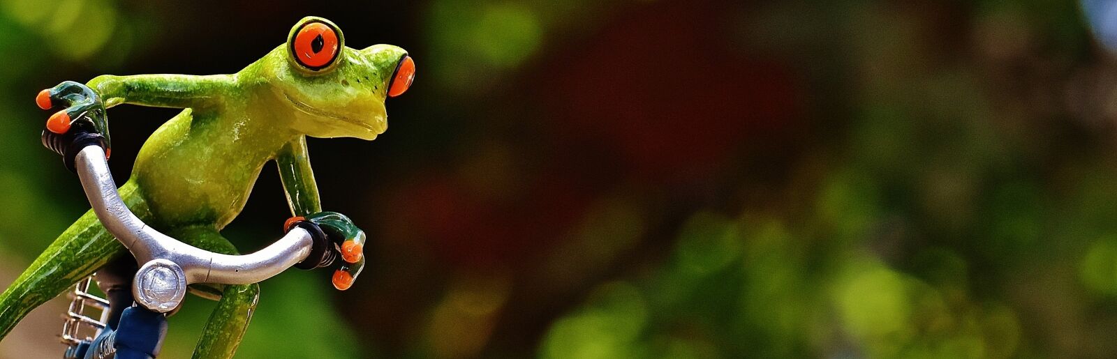 Nikon D7200 sample photo. Frog, bike, curve photography