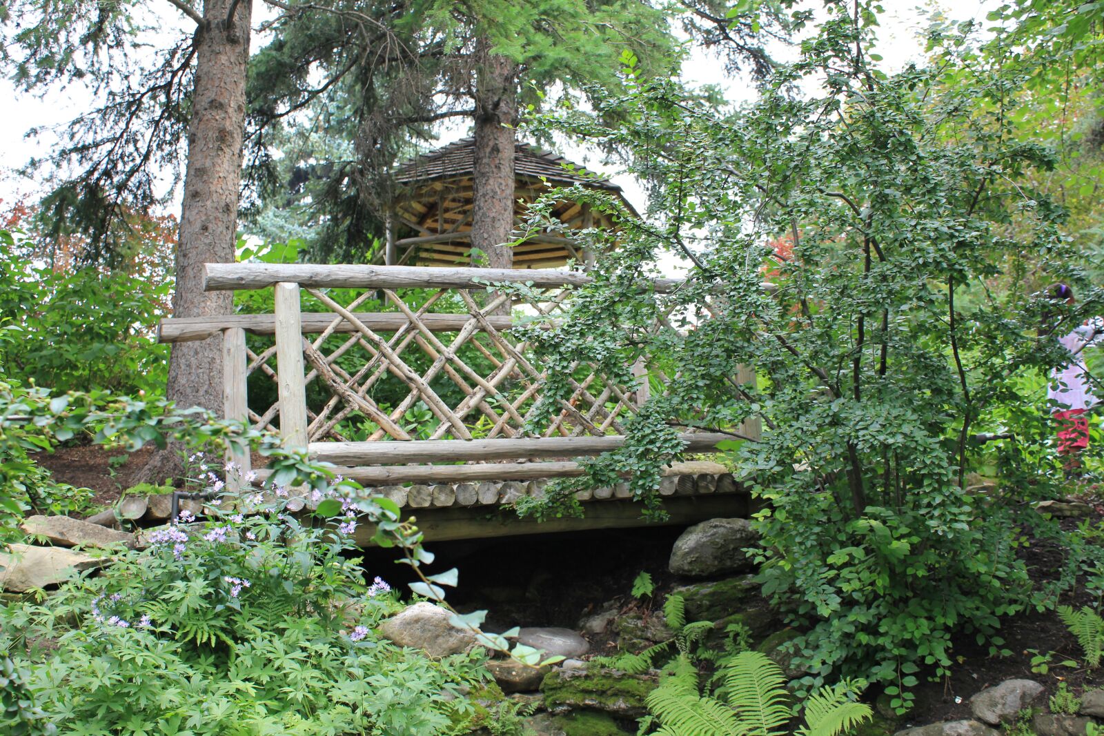 Canon EOS 550D (EOS Rebel T2i / EOS Kiss X4) sample photo. Garden, bridge, farm photography