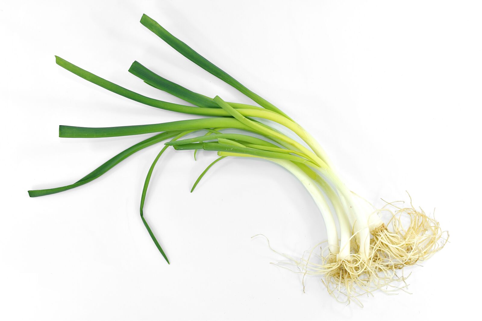 Nikon D5500 sample photo. Diet, dietary, green leaves photography