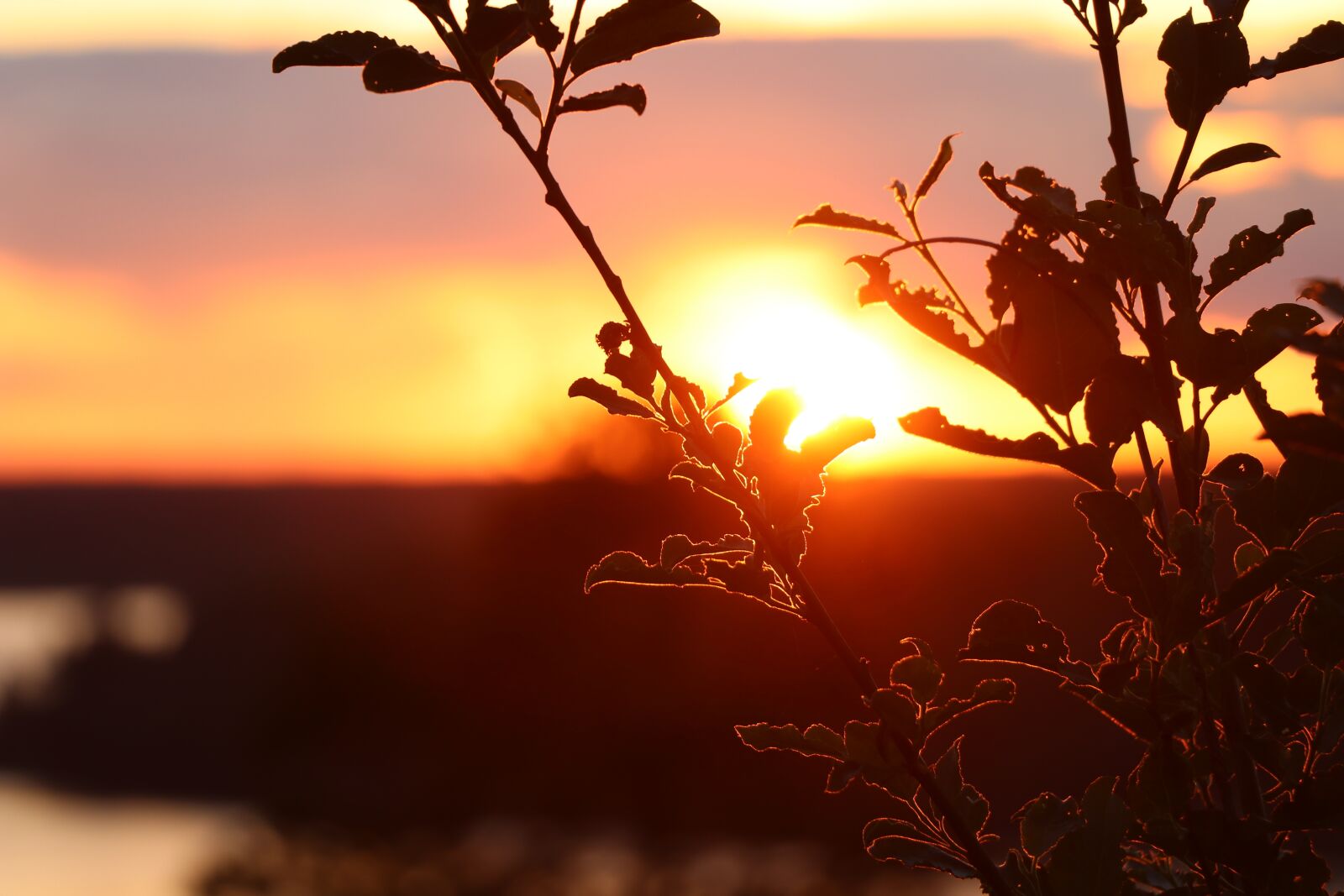 Canon EOS 80D sample photo. Sunset, landscape, clouds photography