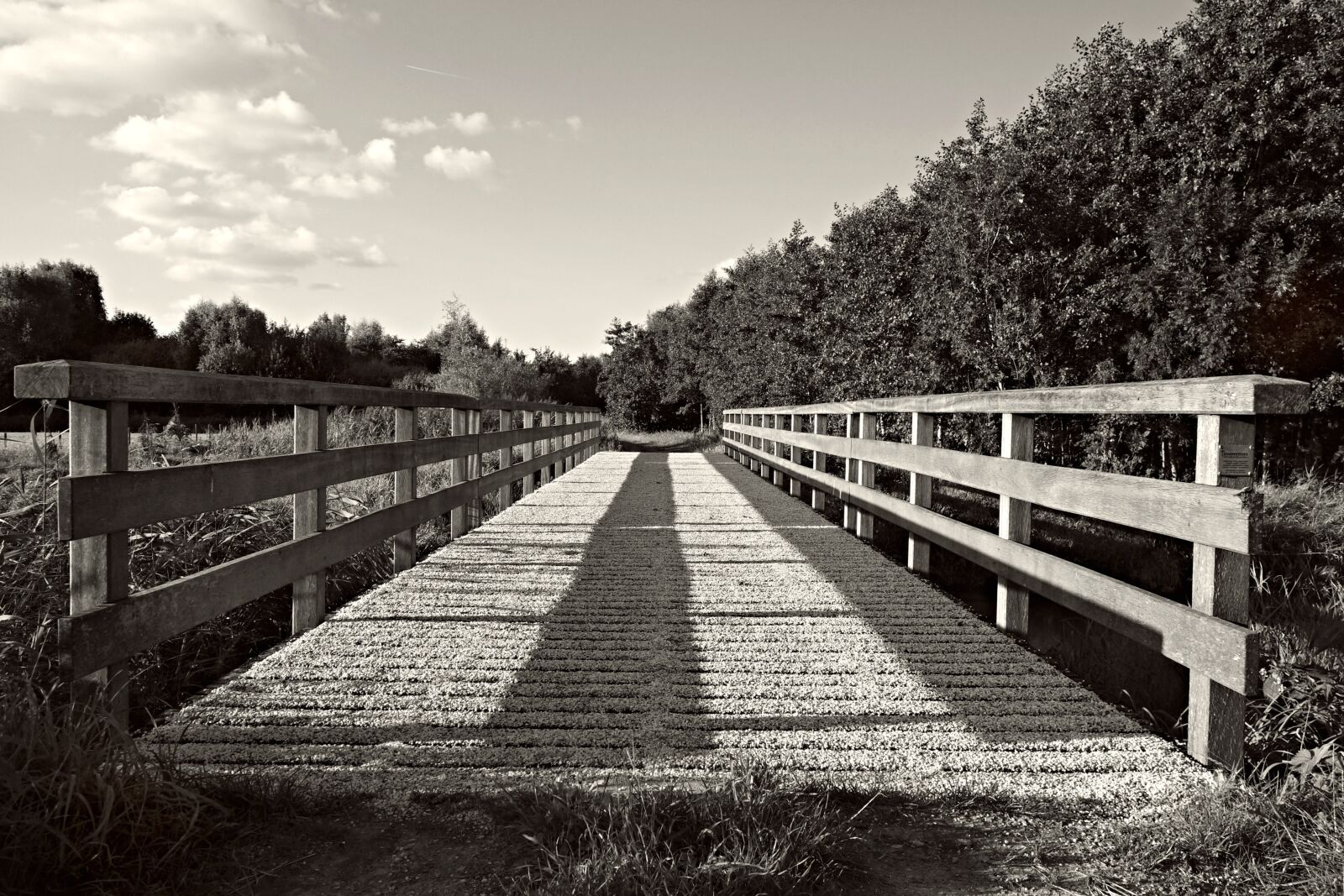 Sony Cyber-shot DSC-RX100 sample photo. Bridge, structure, crossing photography