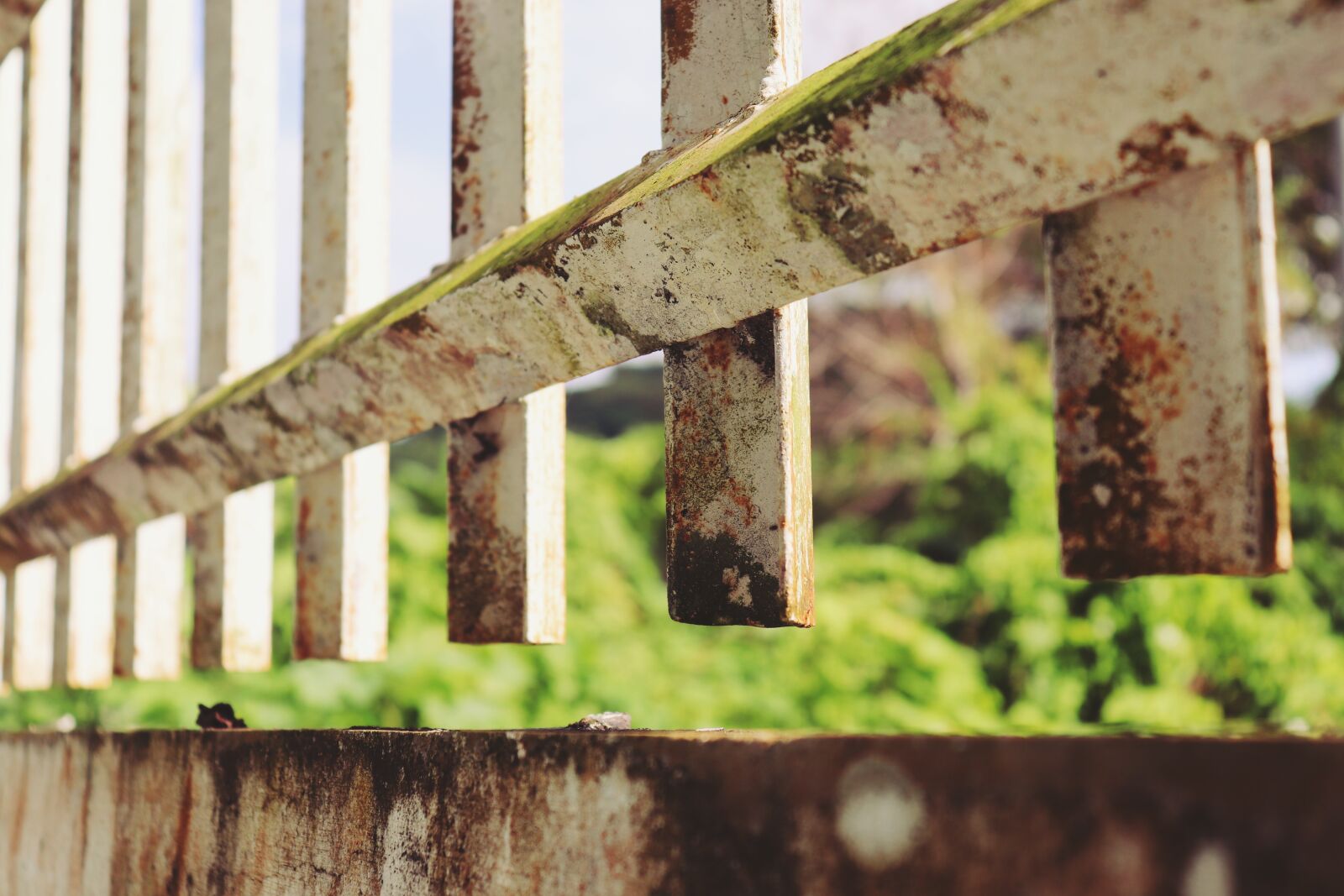 Canon EOS 200D (EOS Rebel SL2 / EOS Kiss X9) sample photo. Fence, fences, countryside photography