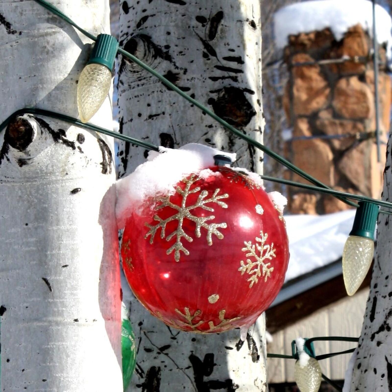 Canon EOS 1000D (EOS Digital Rebel XS / EOS Kiss F) sample photo. Snow, red ball, christmas photography