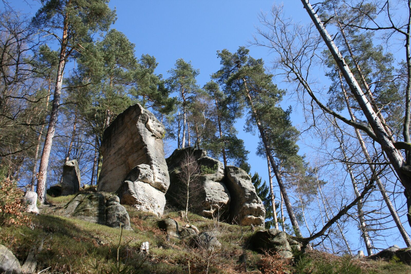 Canon EOS 400D (EOS Digital Rebel XTi / EOS Kiss Digital X) sample photo. Land, elbe sandstone, mountains photography