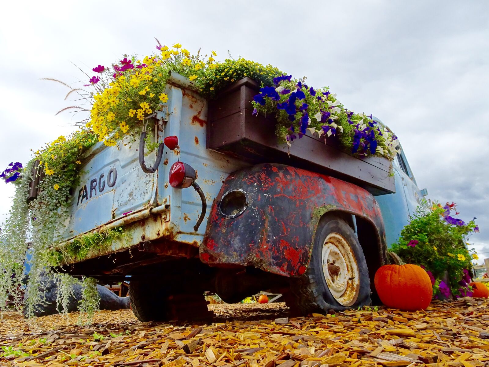 Sony Cyber-shot DSC-HX90V sample photo. Vehicle, flowers, display photography