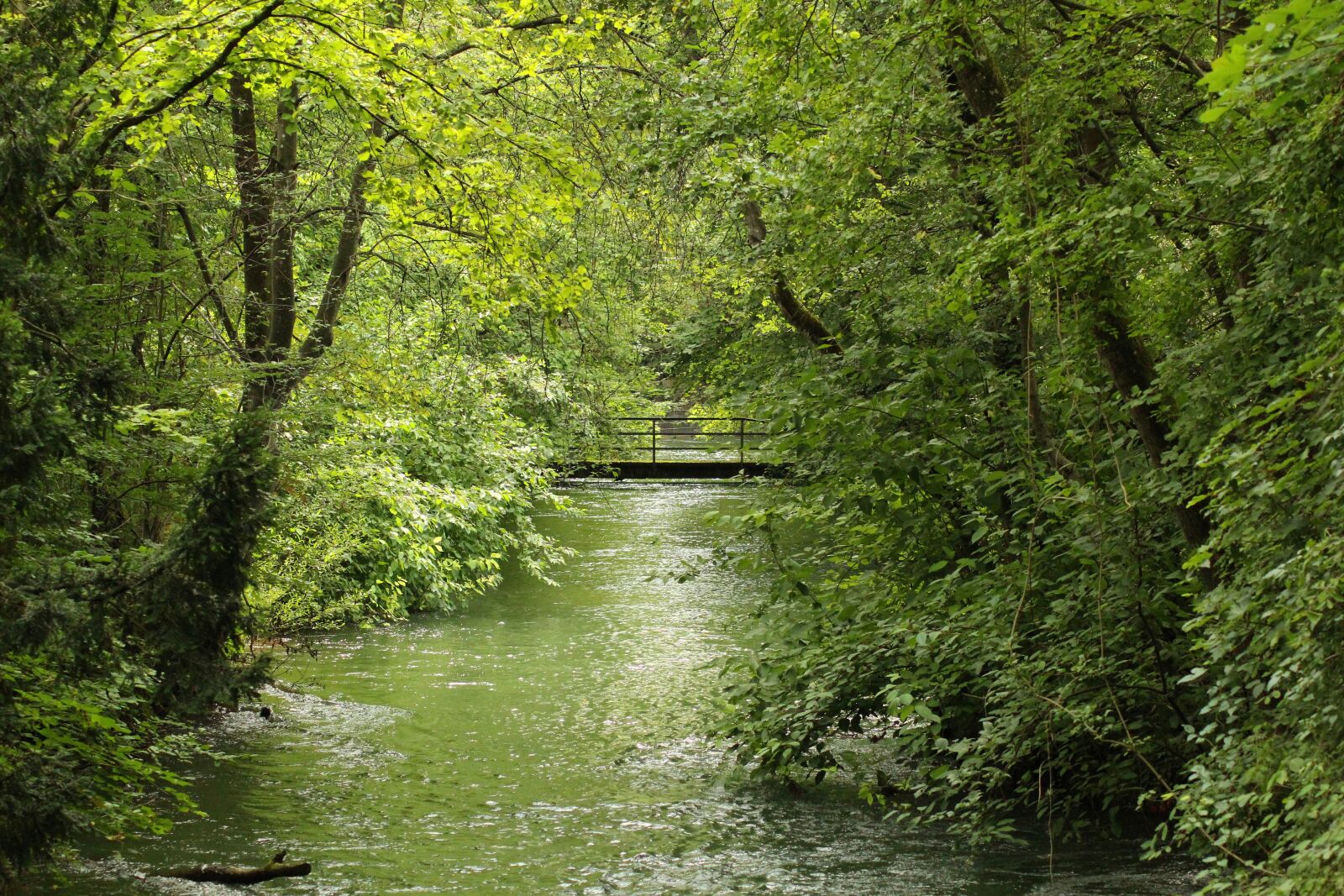 Canon EOS 1300D (EOS Rebel T6 / EOS Kiss X80) sample photo. River, nature, landscape photography