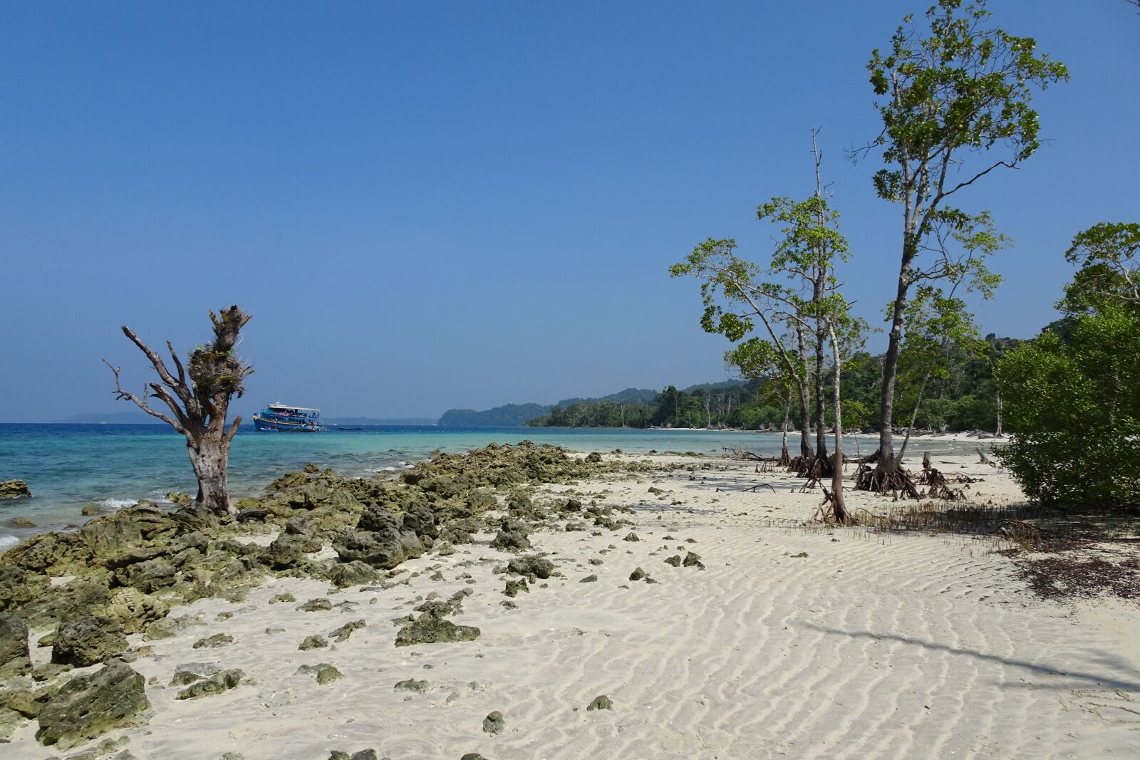 Sony Cyber-shot DSC-HX90V sample photo. Beach, sea, elephant beach photography