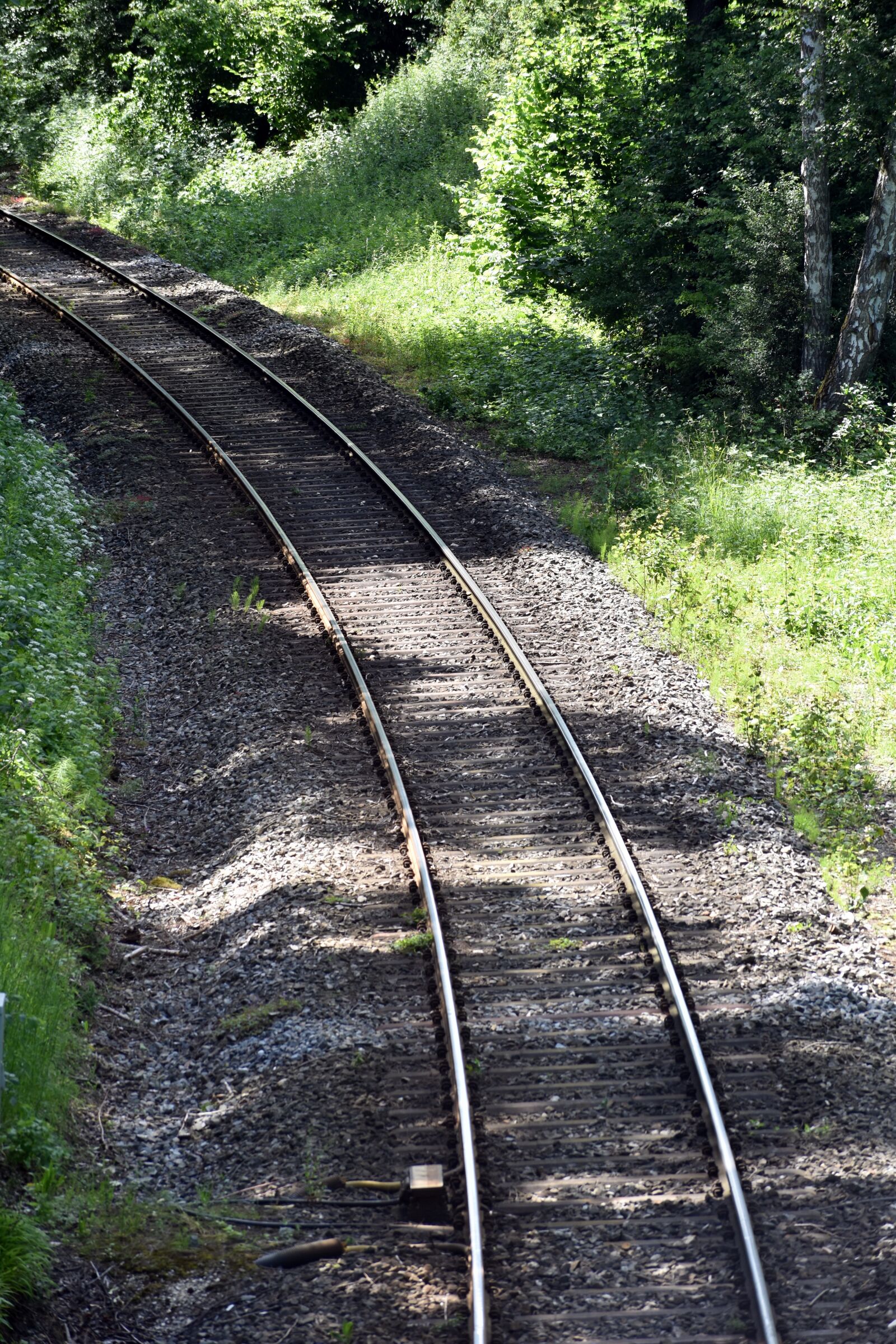 Nikon D3500 sample photo. Railway tracks, railway rails photography