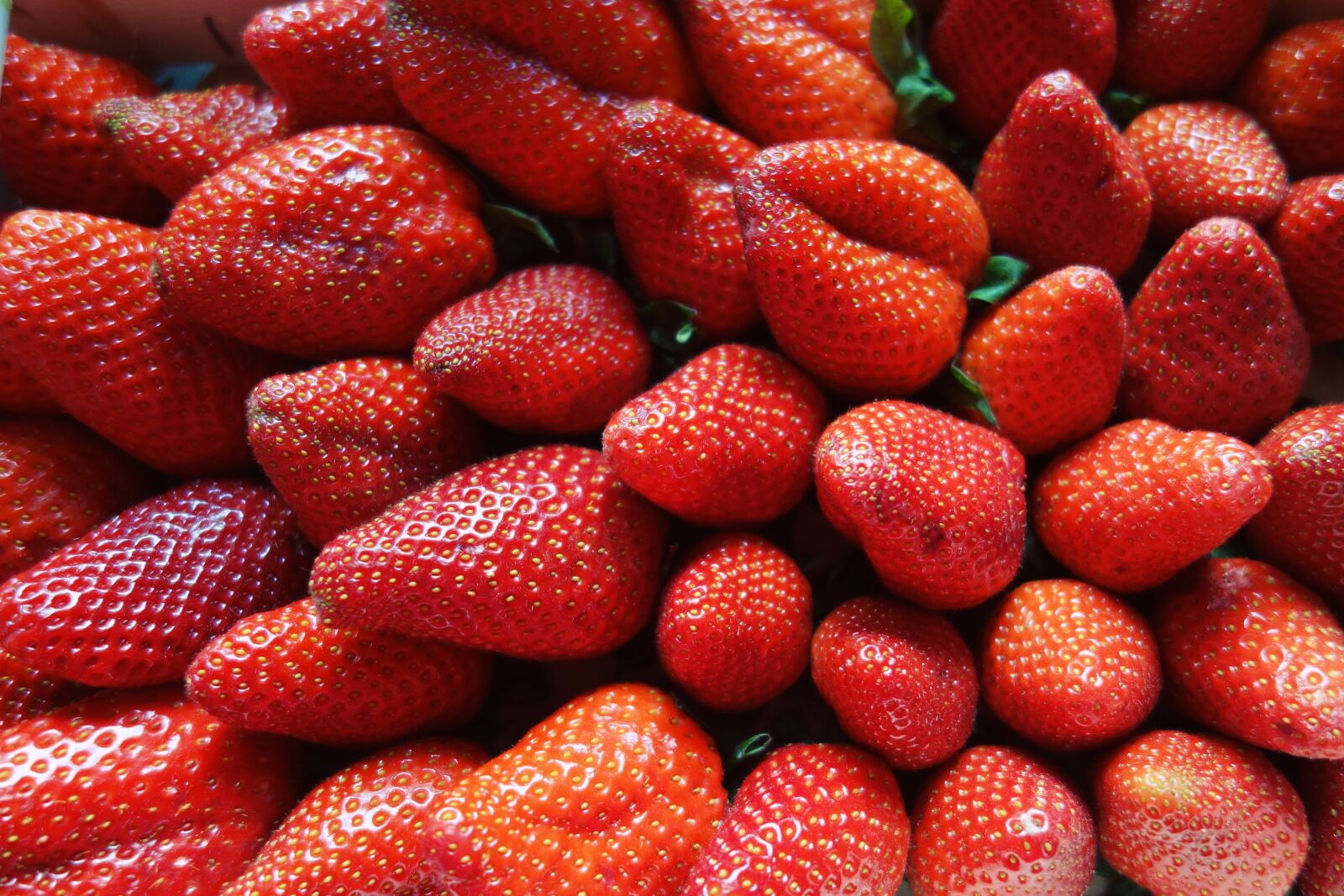 Sony Cyber-shot DSC-RX100 sample photo. Strawberries, berries, fruit photography