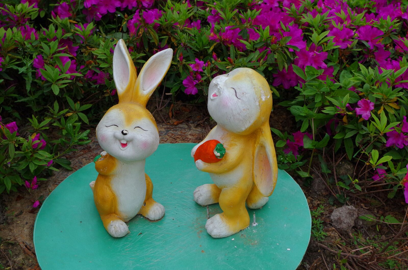 Pentax K-50 sample photo. Hefei wanda park, bunny photography