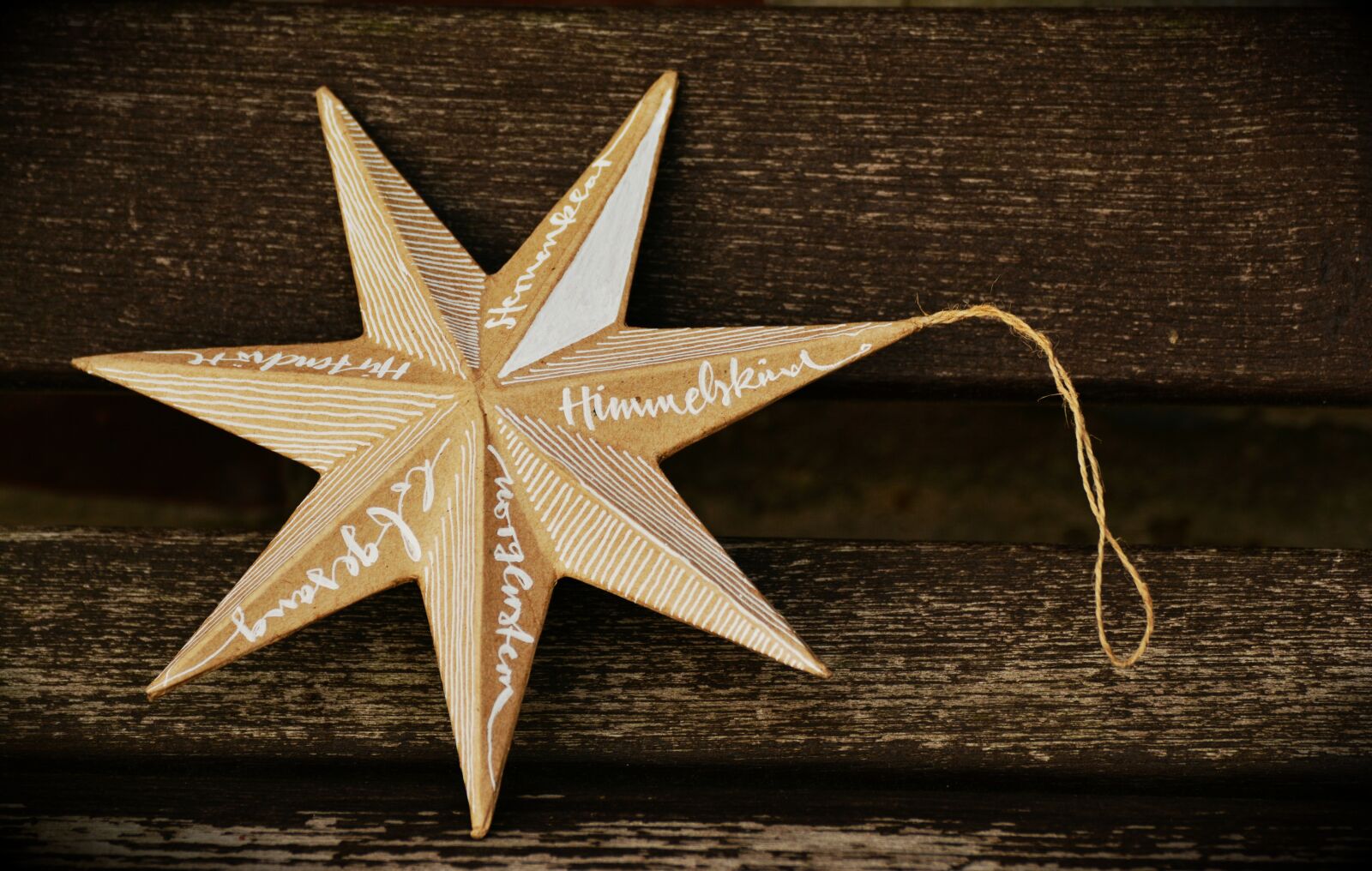 Nikon D5200 sample photo. Star, poinsettia, embassy photography