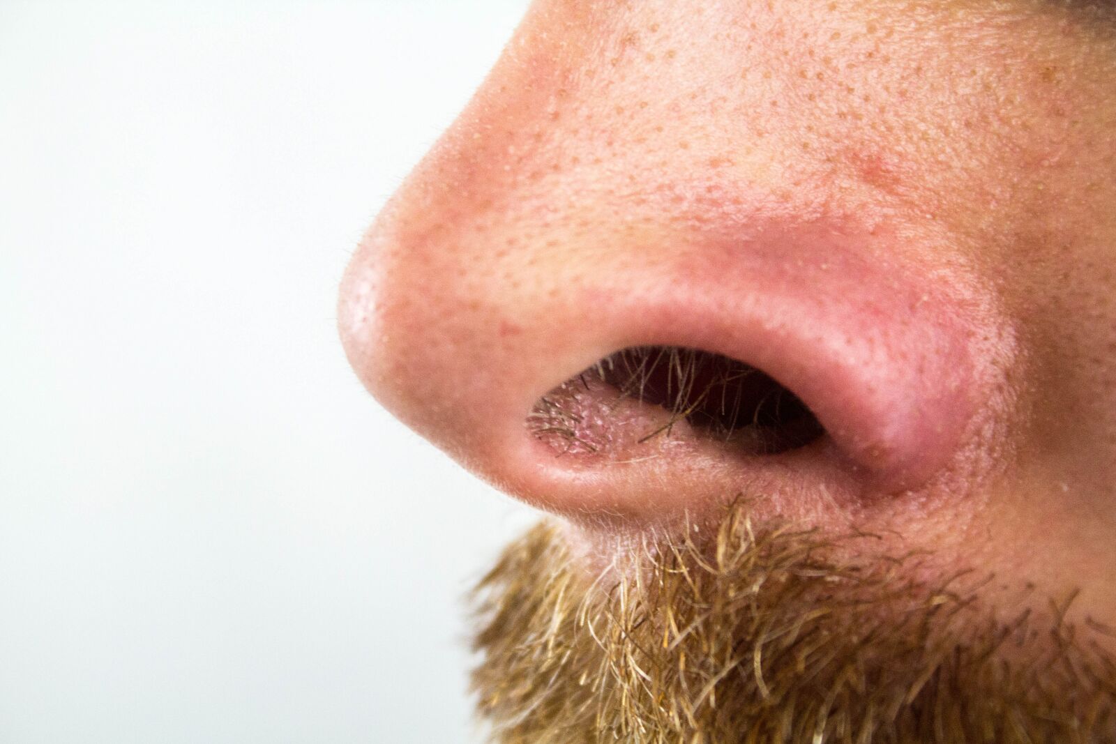 Canon EOS 600D (Rebel EOS T3i / EOS Kiss X5) sample photo. Nose, nostrils, nose hairs photography