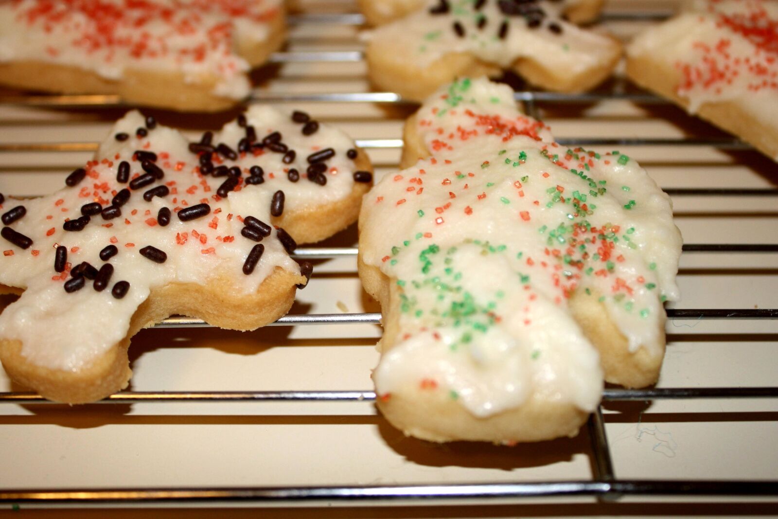 f/3.5-5.6 IS sample photo. Decoration, cookies, sugar, diet photography