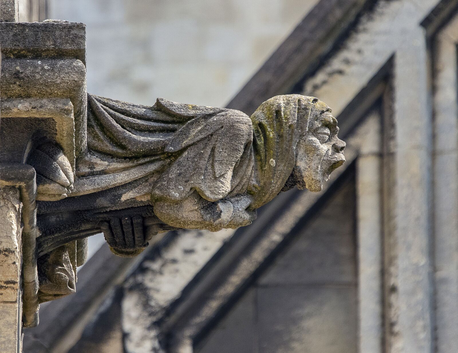 Sigma 100-400mm F5-6.3 DG OS HSM sample photo. Gargoyle, grotesque, cathedral photography