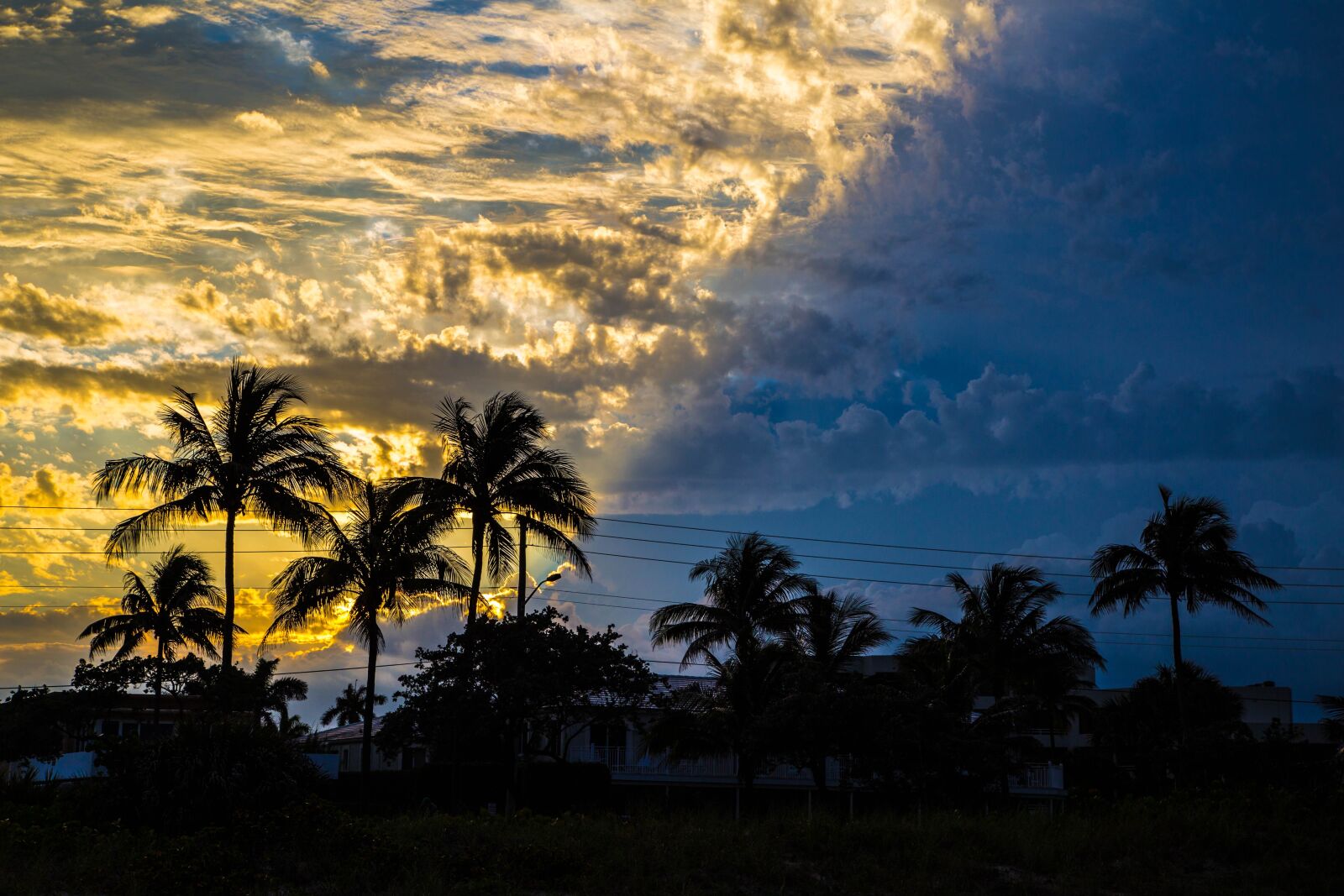 Canon EOS 6D + Canon EF 24-105mm F4L IS USM sample photo. Palm, beach, tropical photography