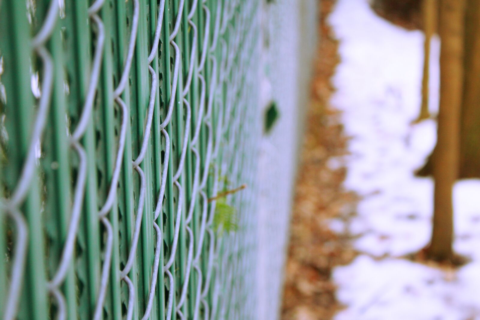 Canon EOS 1200D (EOS Rebel T5 / EOS Kiss X70 / EOS Hi) sample photo. Fence, green, outside, photography photography