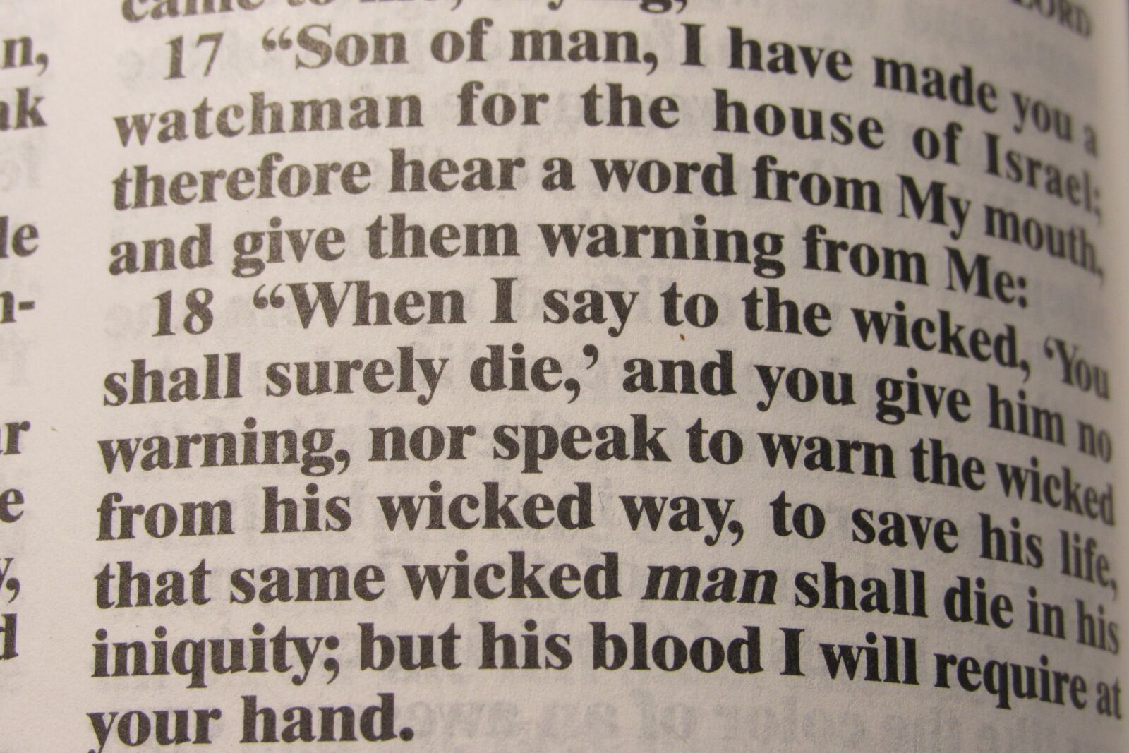 Canon PowerShot SX530 HS sample photo. Holy bible, christianity, spirituality photography