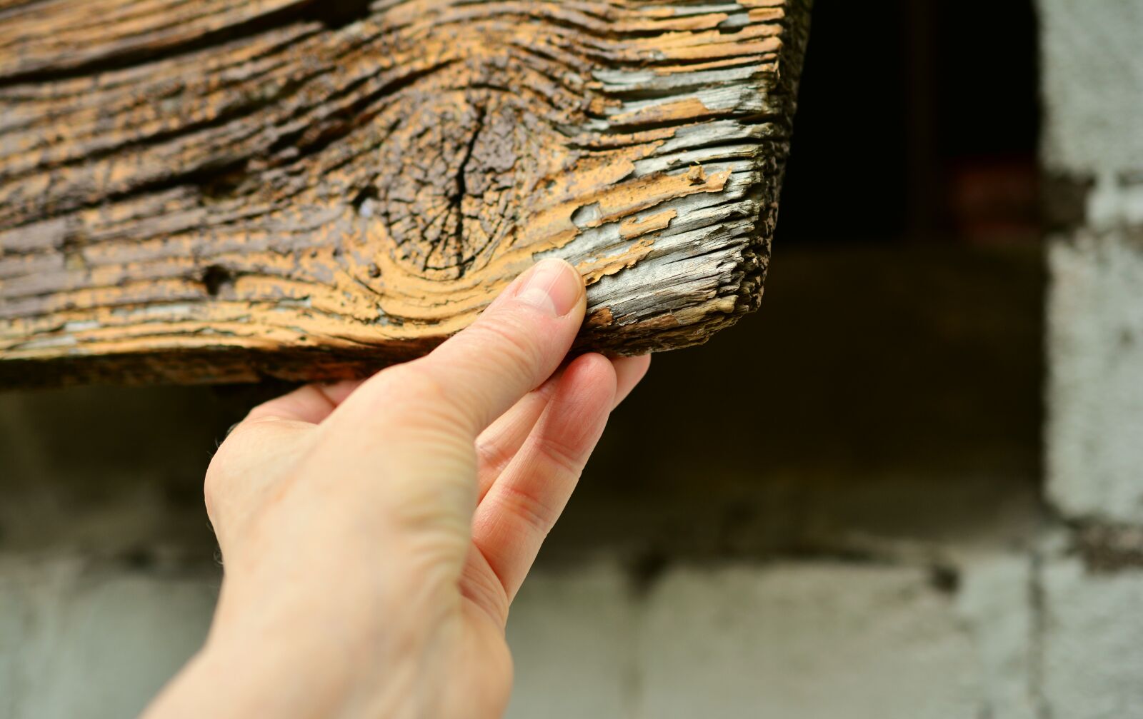 Nikon D5200 sample photo. Flap, shut up, hand photography