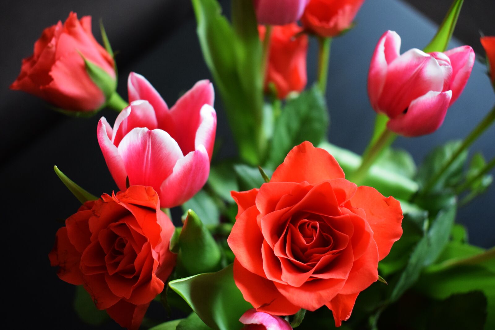 Nikon D3300 sample photo. Flowers, bouquet, rose photography