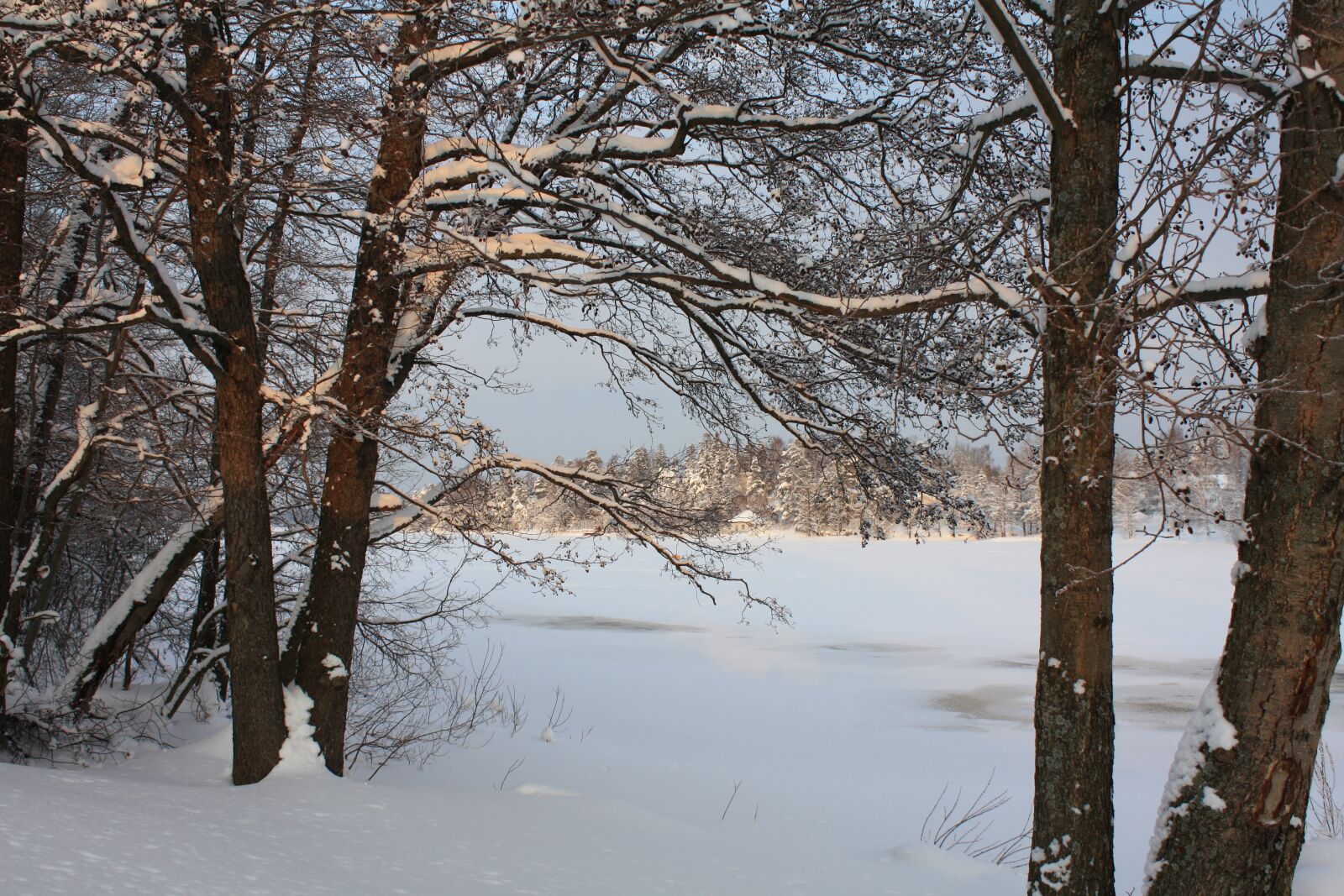 Canon EOS 450D (EOS Rebel XSi / EOS Kiss X2) sample photo. Winter, finland, snow photography