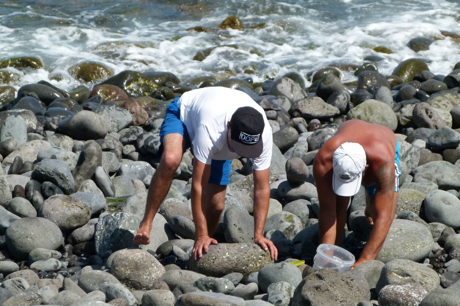 Panasonic Lumix DMC-FZ100 sample photo. Oysters visitors, men, sea photography