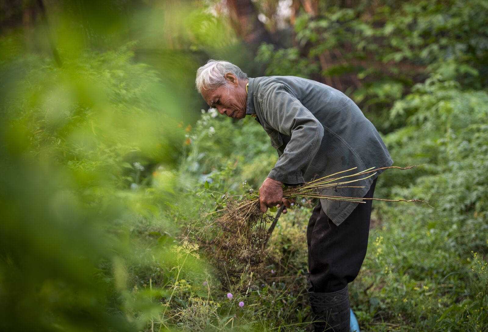 Nikon D750 sample photo. Farm man, thai farmer photography