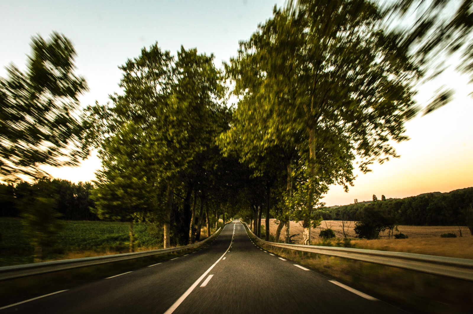Nikon D5000 sample photo. Road, street, driving, hurry photography
