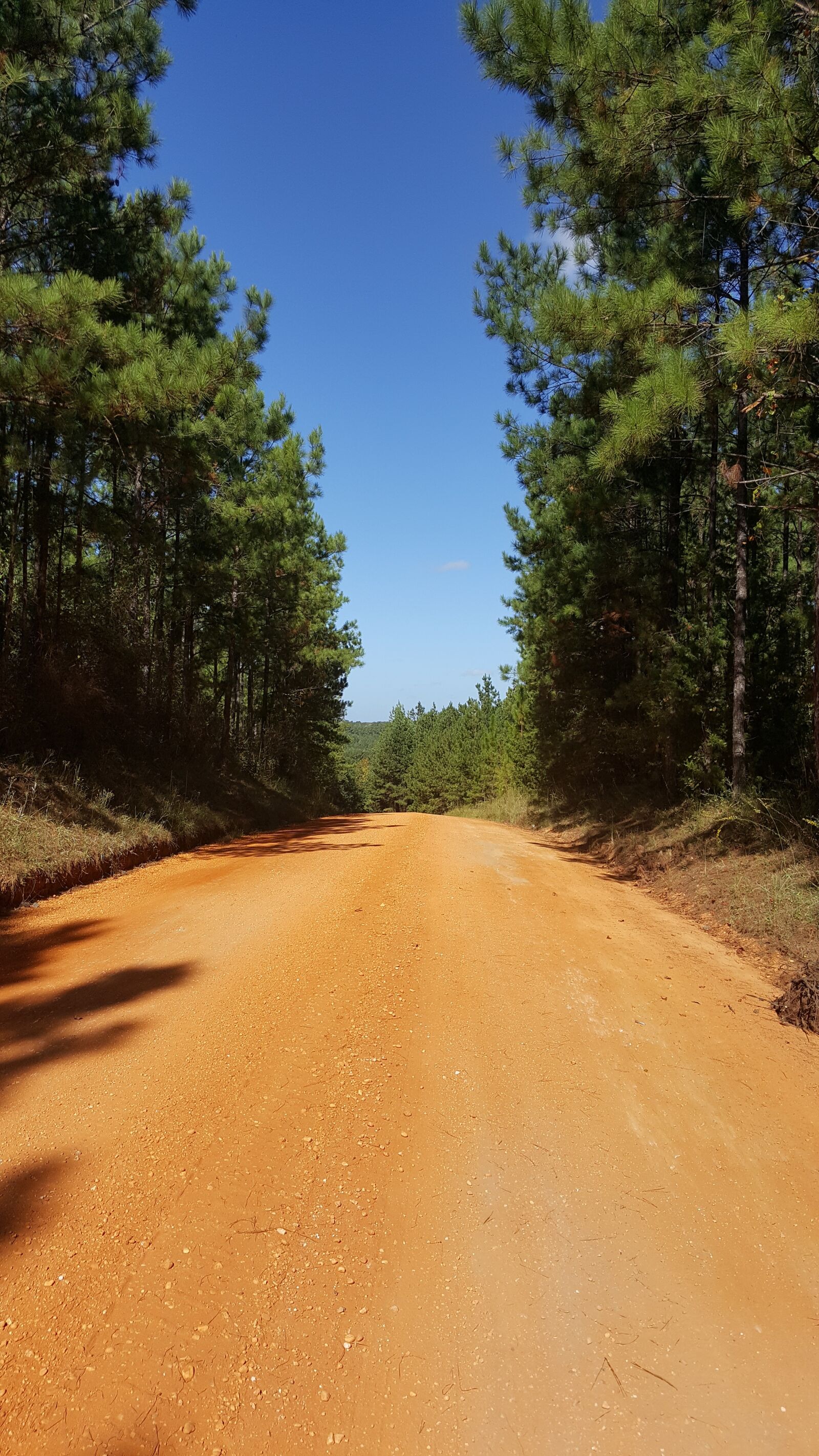 Samsung GALAXY S6 edge sample photo. Road, way, dirt photography