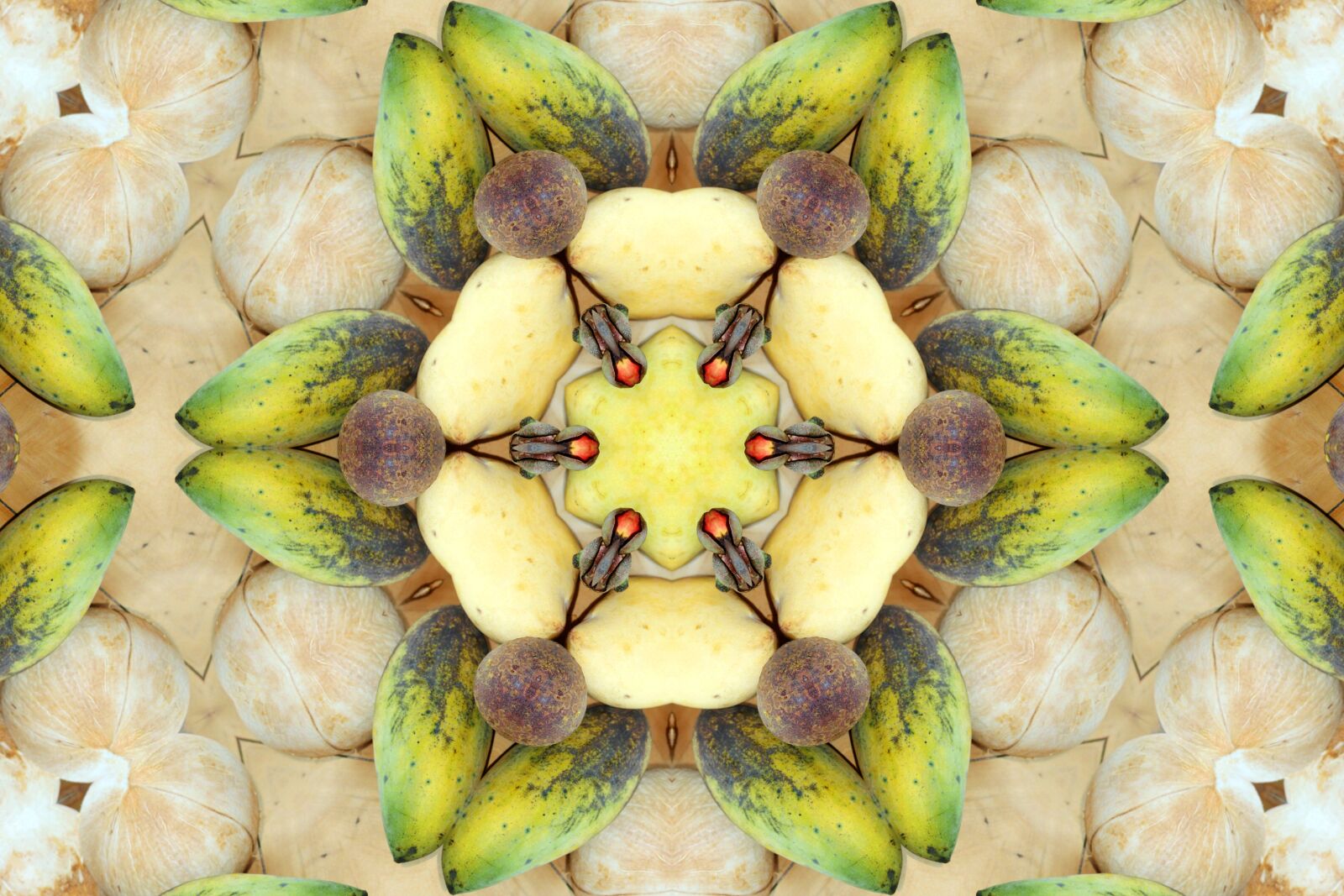 Canon EOS 1200D (EOS Rebel T5 / EOS Kiss X70 / EOS Hi) sample photo. Mandala, fruit, yantra photography