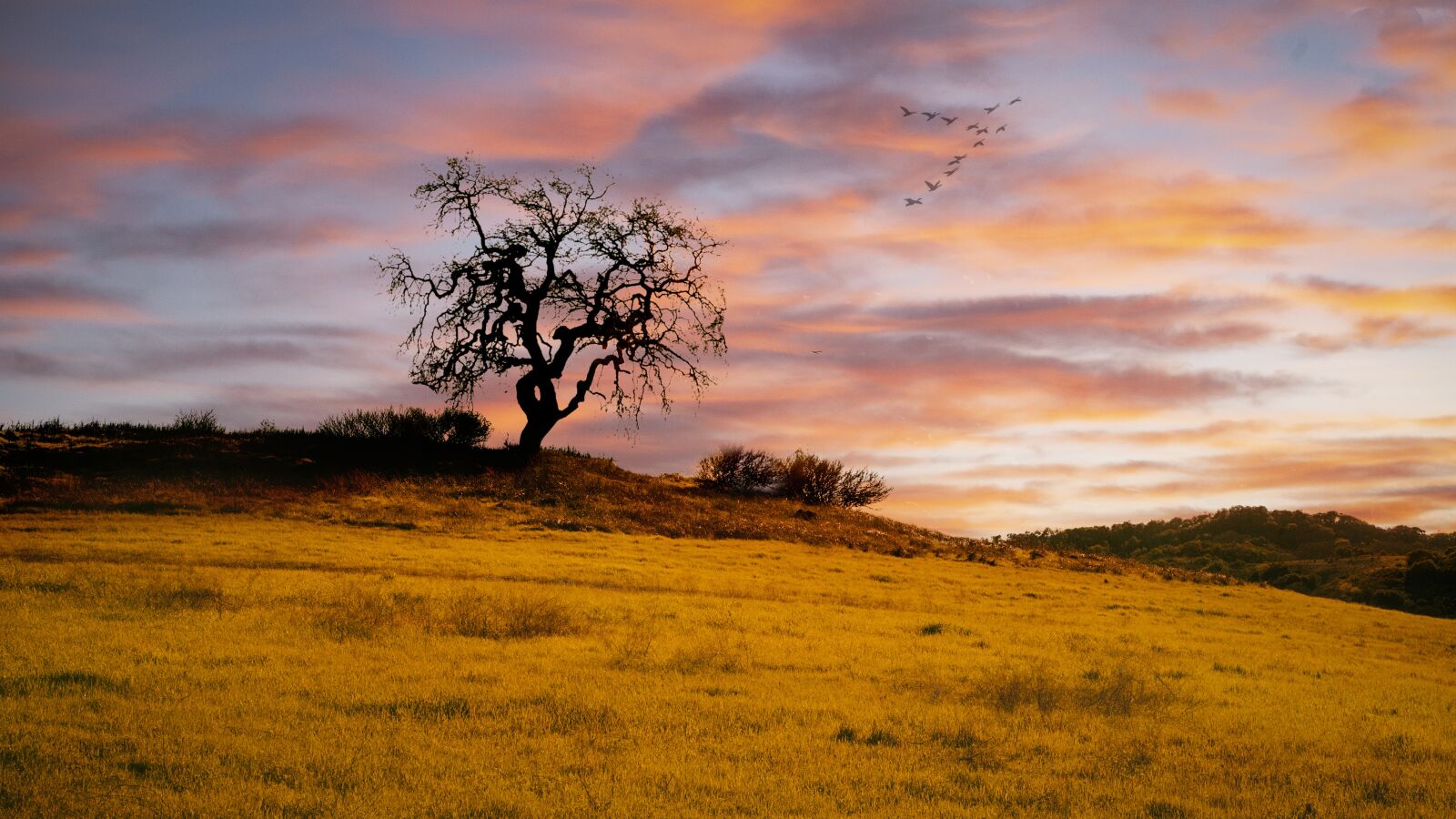 Canon EOS 5D sample photo. Sunset, cloud, warm photography