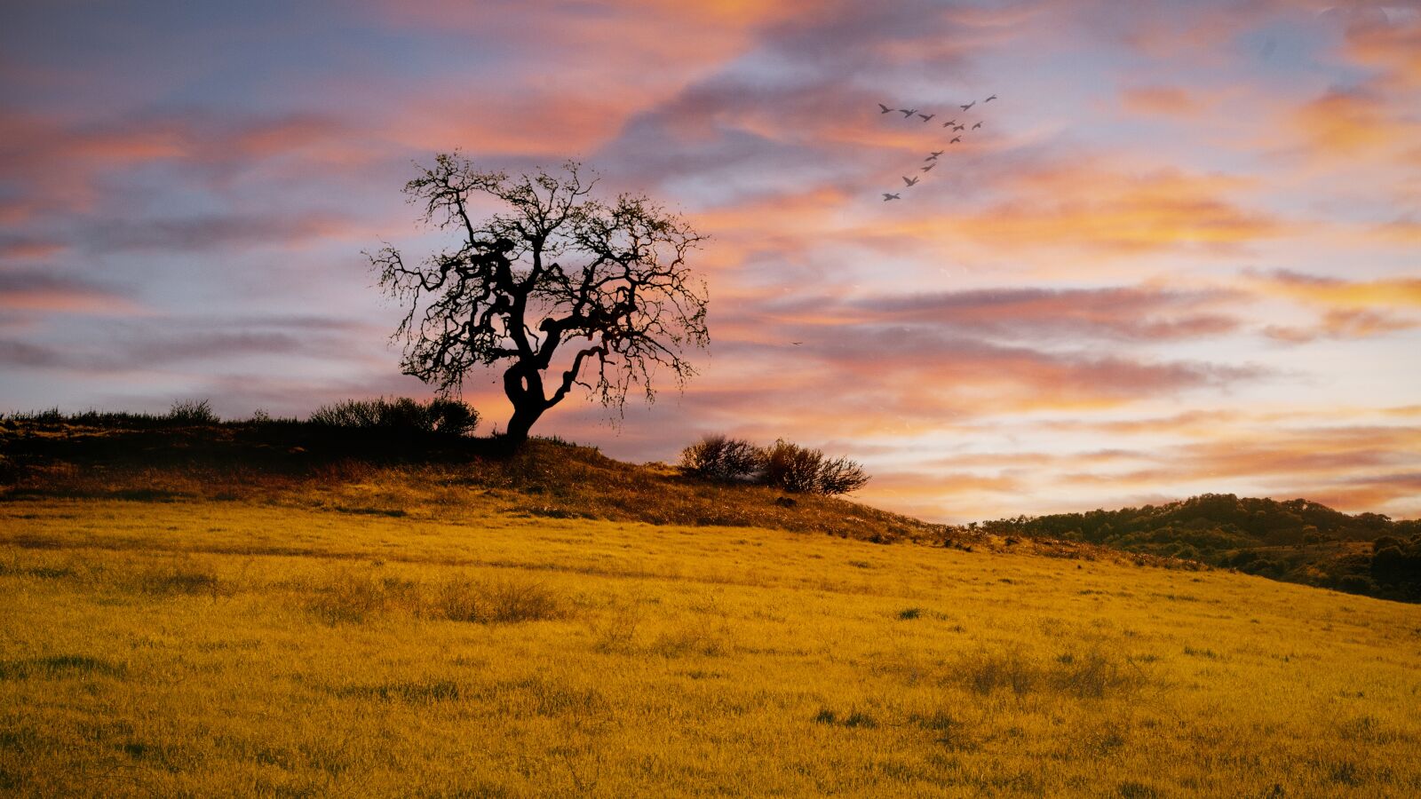 Canon EOS 5D + Canon EF 24-105mm F4L IS USM sample photo. Sunset, cloud, warm photography